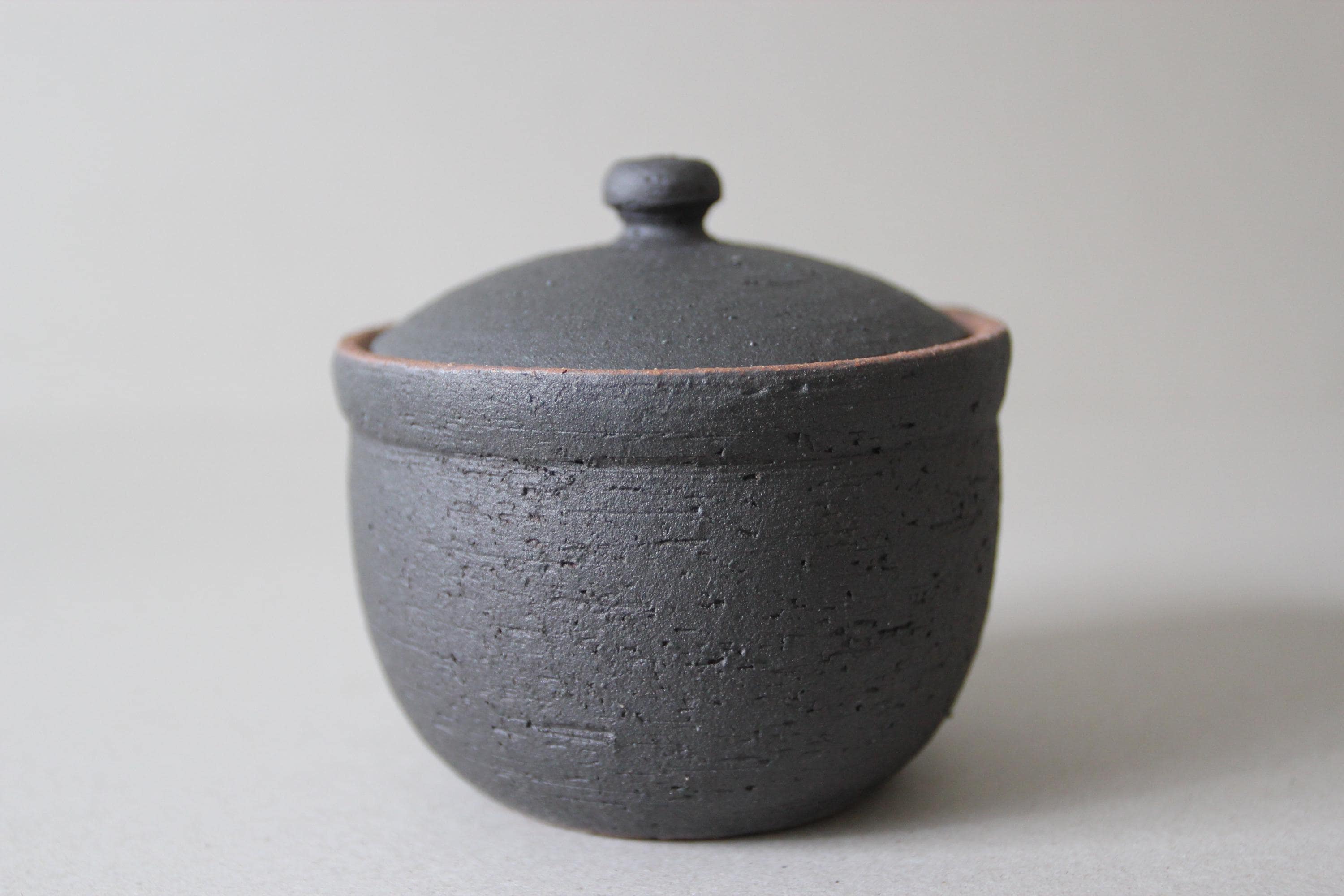 Handmade Shigaraki Salt Pot: Japanese Ceramic Kitchen Jar, Rustic Decor