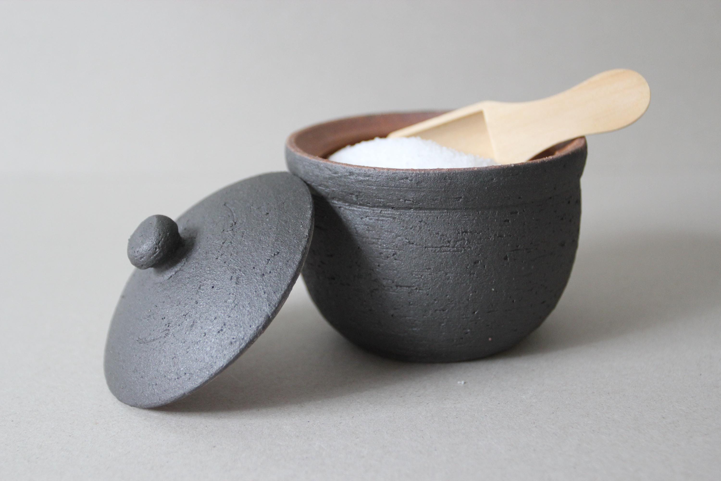Handmade Shigaraki Salt Pot: Japanese Ceramic Kitchen Jar, Rustic Decor
