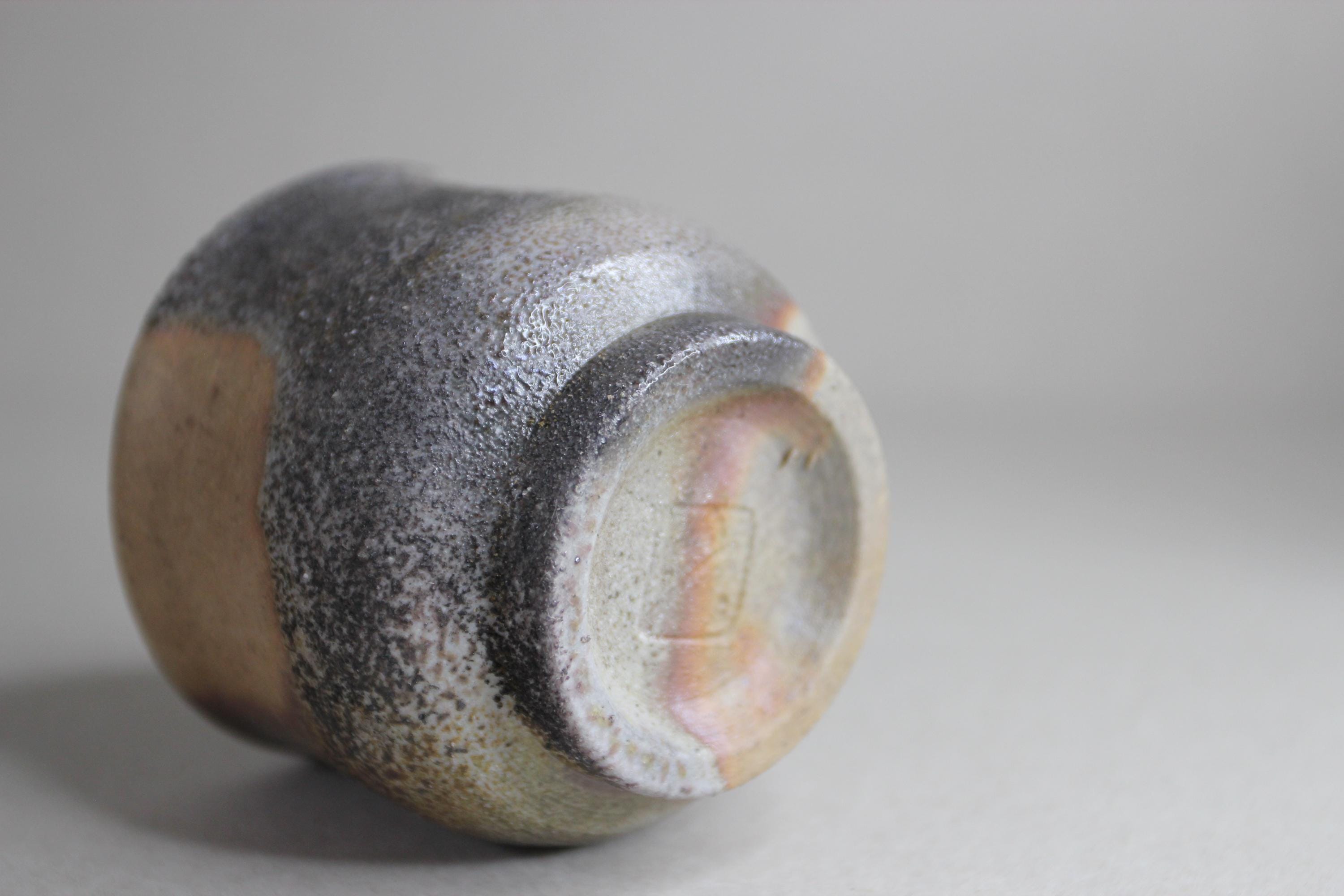 Handcrafted Bizen Ware Teacup: Japanese Pottery with Gift Box