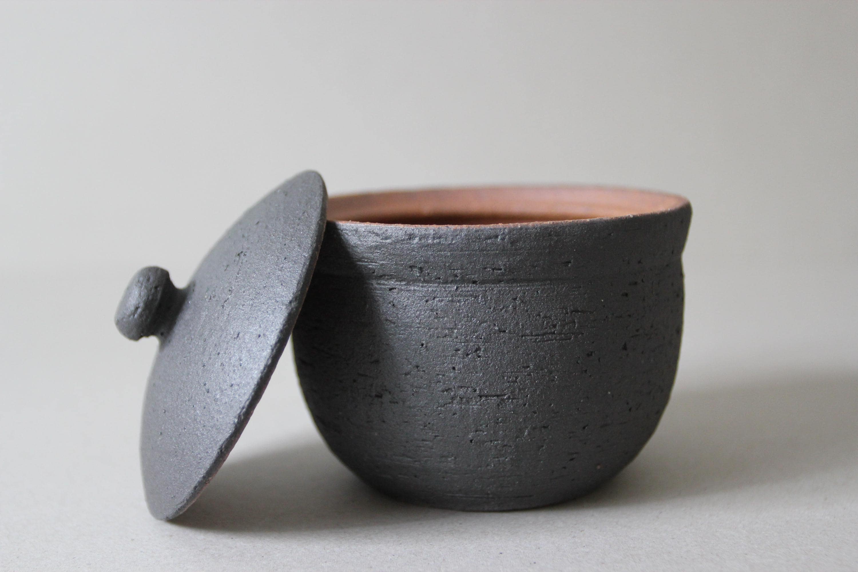Handmade Shigaraki Salt Pot: Japanese Ceramic Kitchen Jar, Rustic Decor
