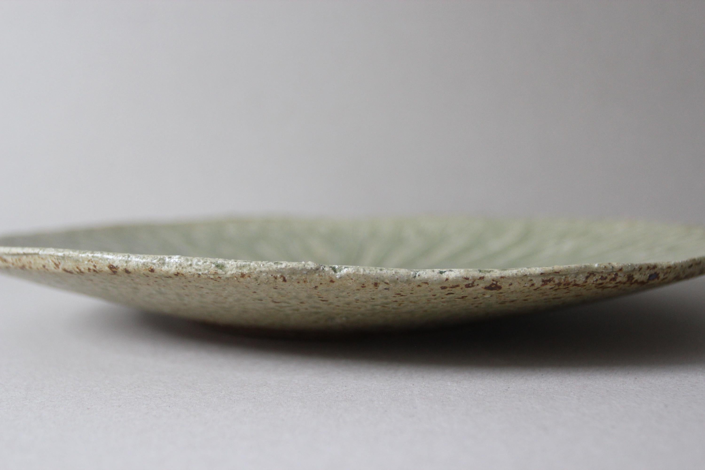 Shigaraki Ware Lotus Leaf Plate  Rustic Japanese Stoneware Dinner Plate  Artisan Tableware Gift  Wabi Sabi Decor  Made in Japan