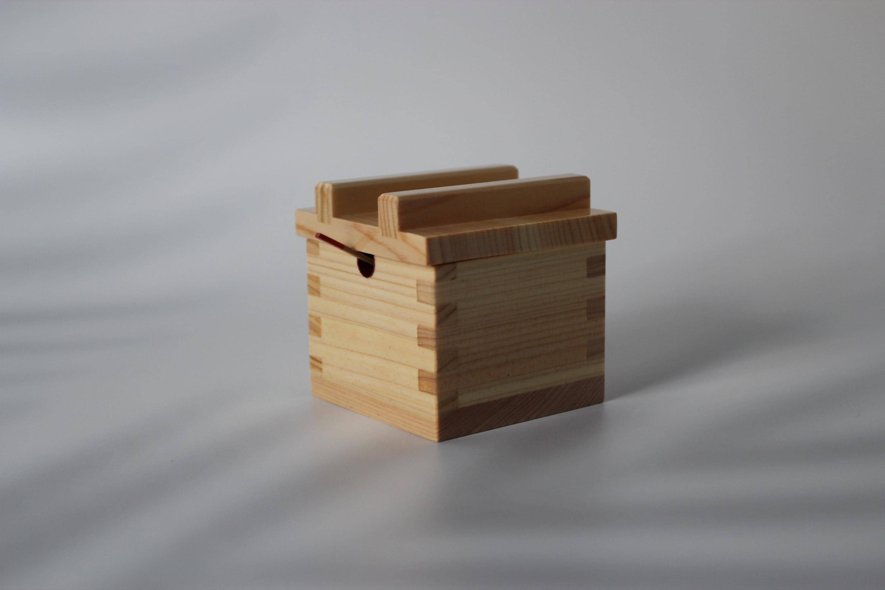 Hinoki Wood Salt Box with Spoon: Japanese Cypress Spice Container