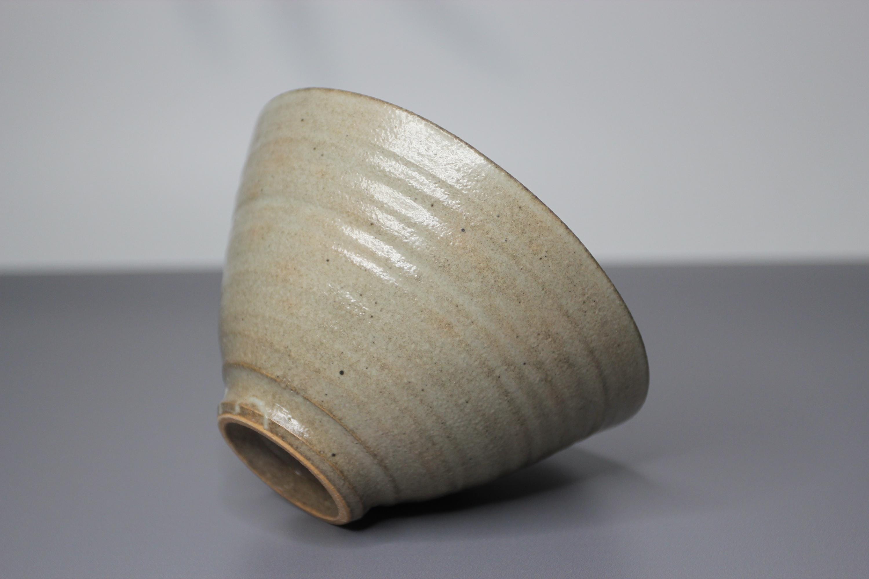 Handmade Shigaraki Ware Rice Bowl: Rustic Japanese Ceramic Donburi