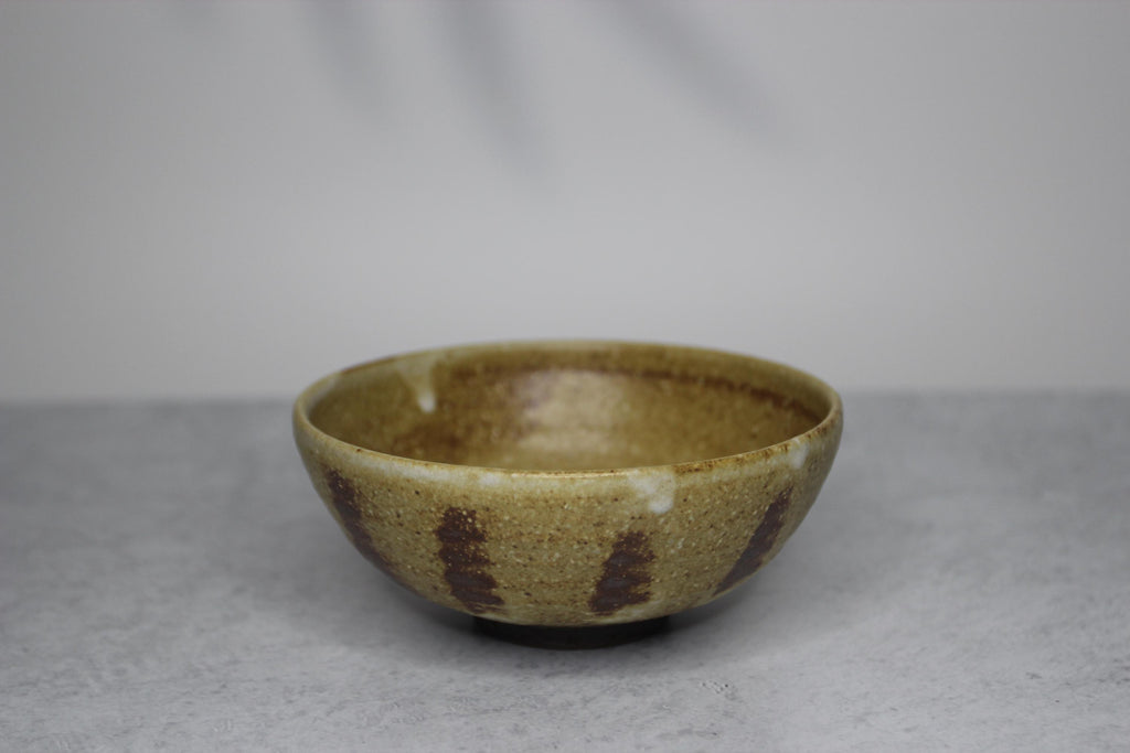Handmade Shigaraki Ware Rice Bowl: Rustic Japanese Ceramic Tableware
