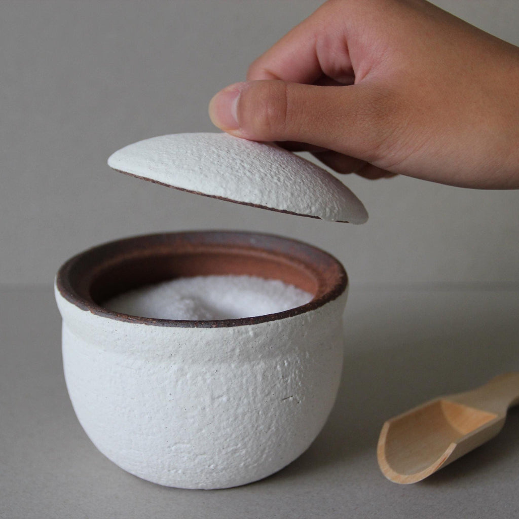 Handmade Shigaraki Salt Pot: Japanese Ceramic Kitchen Jar, Rustic Decor