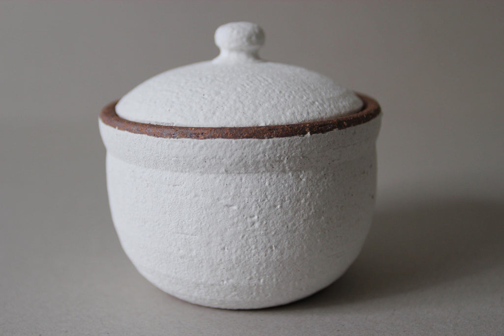 Handmade Shigaraki Salt Pot: Japanese Ceramic Kitchen Jar, Rustic Decor