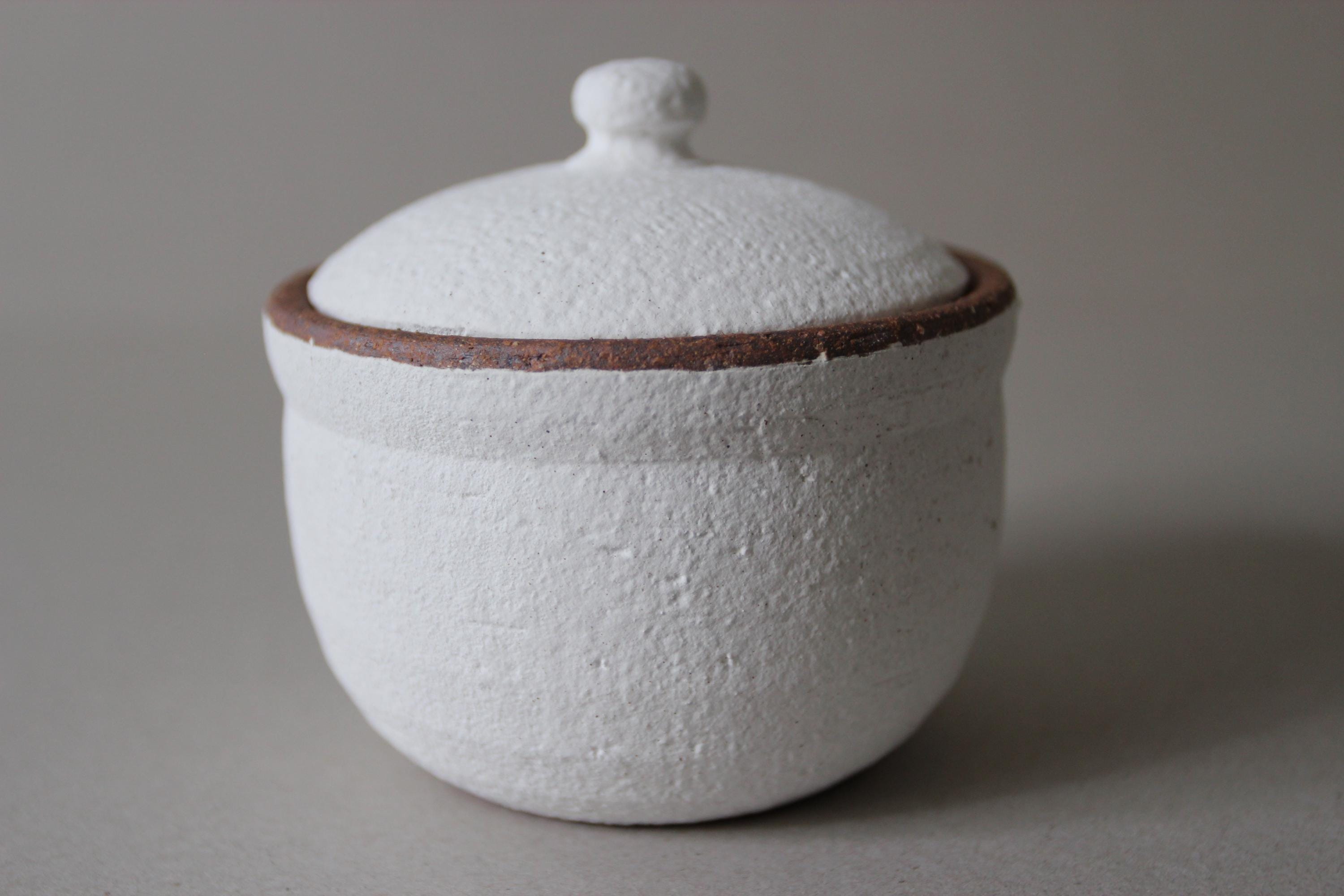 Handmade Shigaraki Salt Pot: Japanese Ceramic Kitchen Jar, Rustic Decor