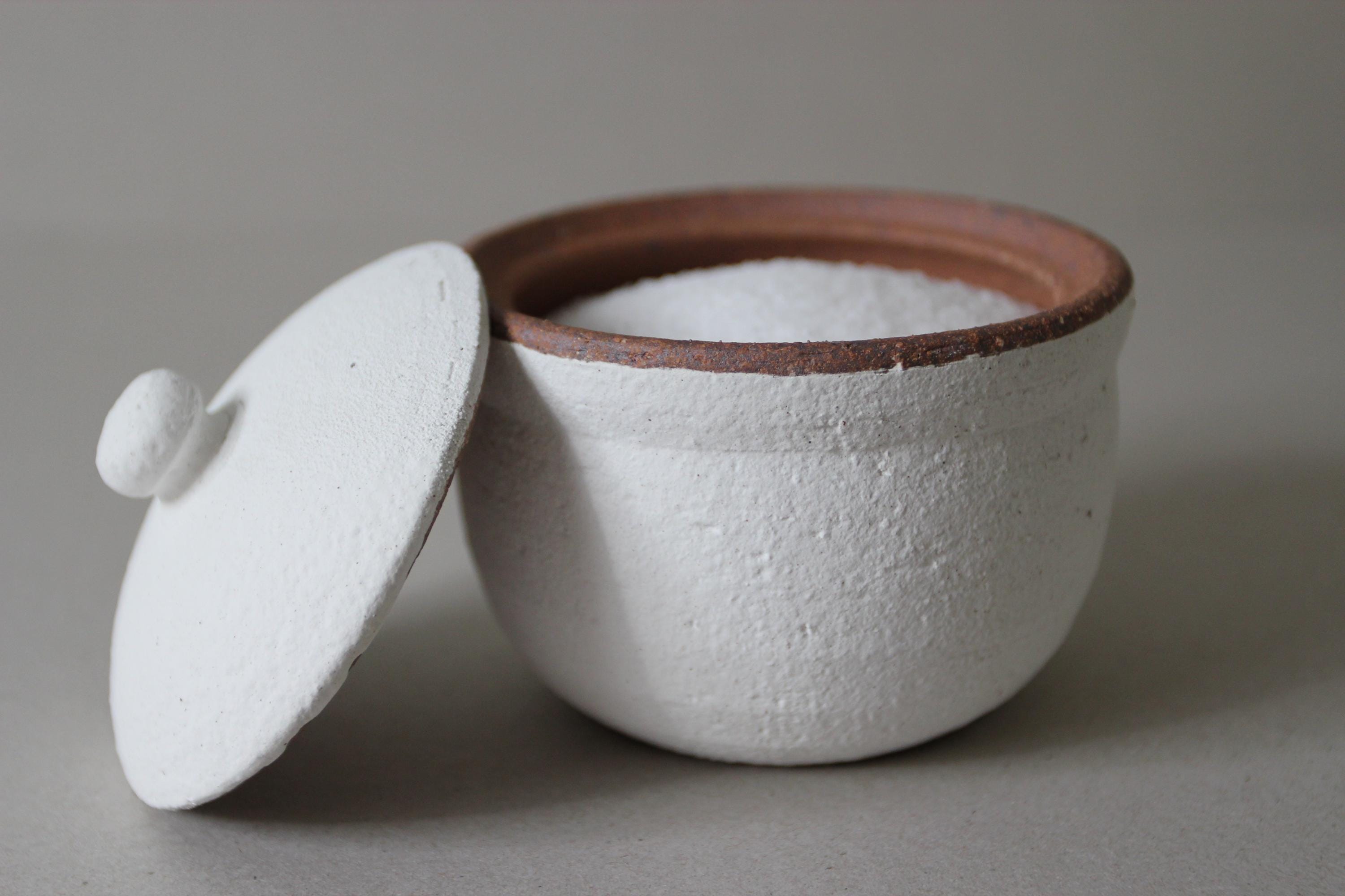 Handmade Shigaraki Salt Pot: Japanese Ceramic Kitchen Jar, Rustic Decor