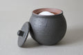 Handmade Shigaraki Ceramic Salt Pot: Rustic Japanese Kitchen Jar