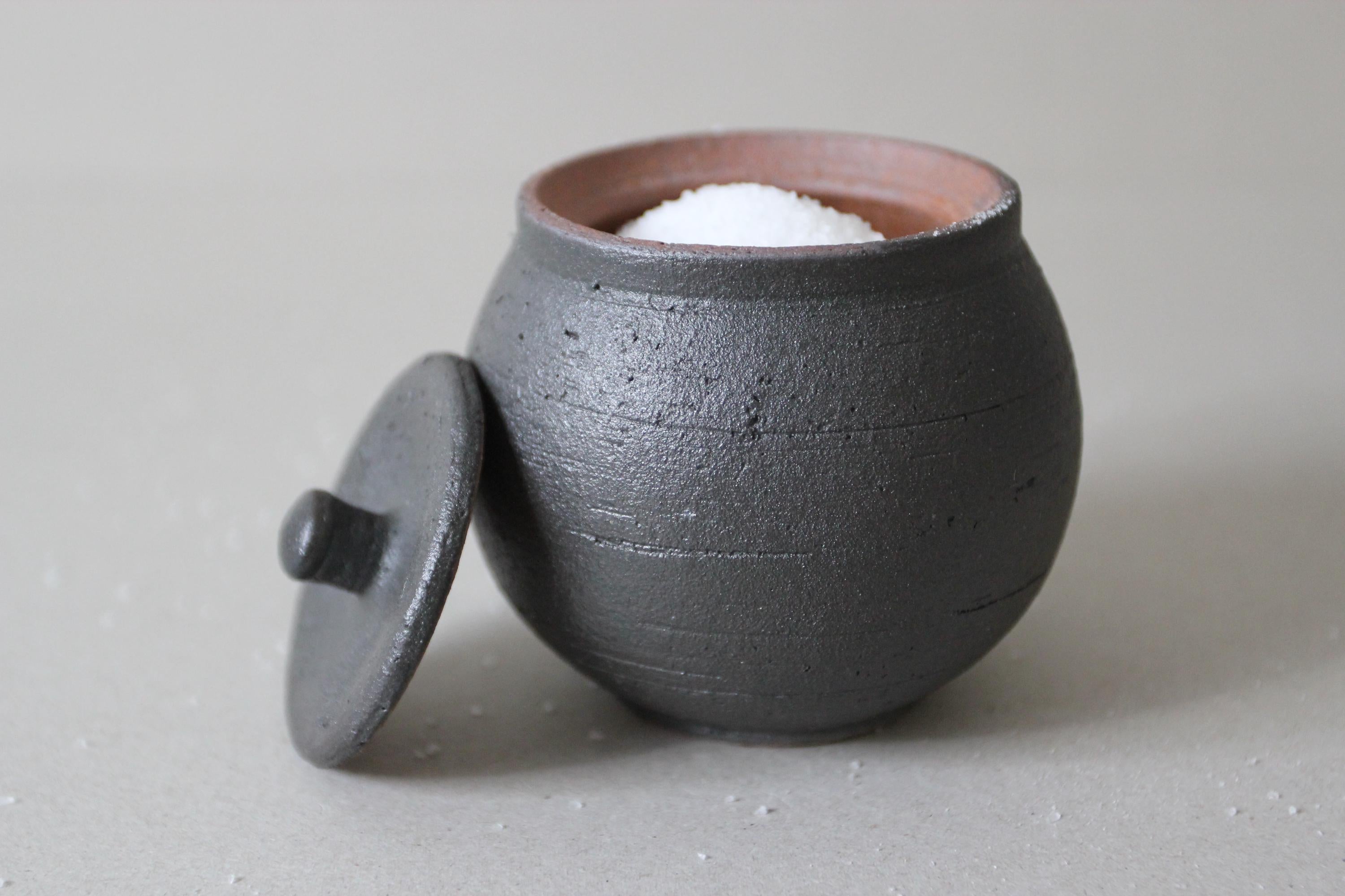 Handmade Shigaraki Ceramic Salt Pot: Rustic Japanese Kitchen Jar