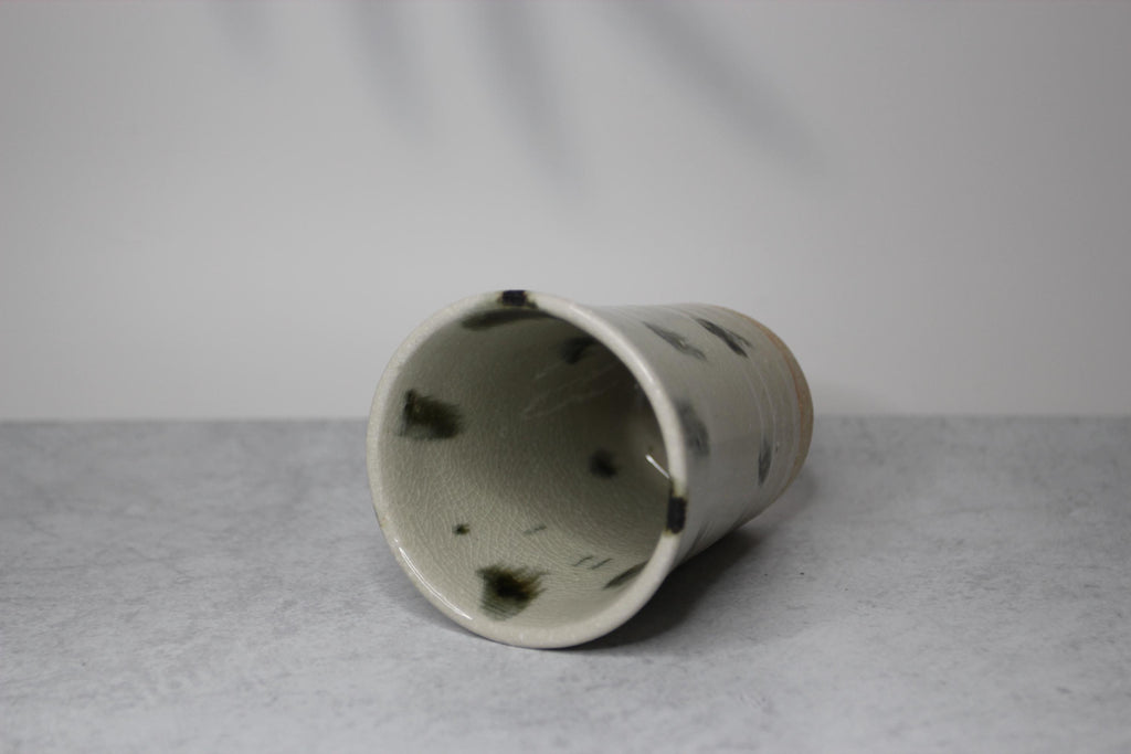 Handmade Shigaraki Ware Tea Cup: Japanese Ceramic Tumbler, 250ml