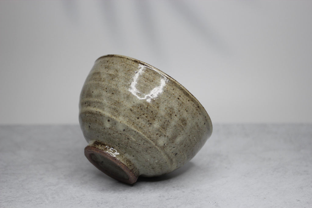 Handmade Shigaraki Ware Bowl: Rustic Japanese Ceramic Tableware