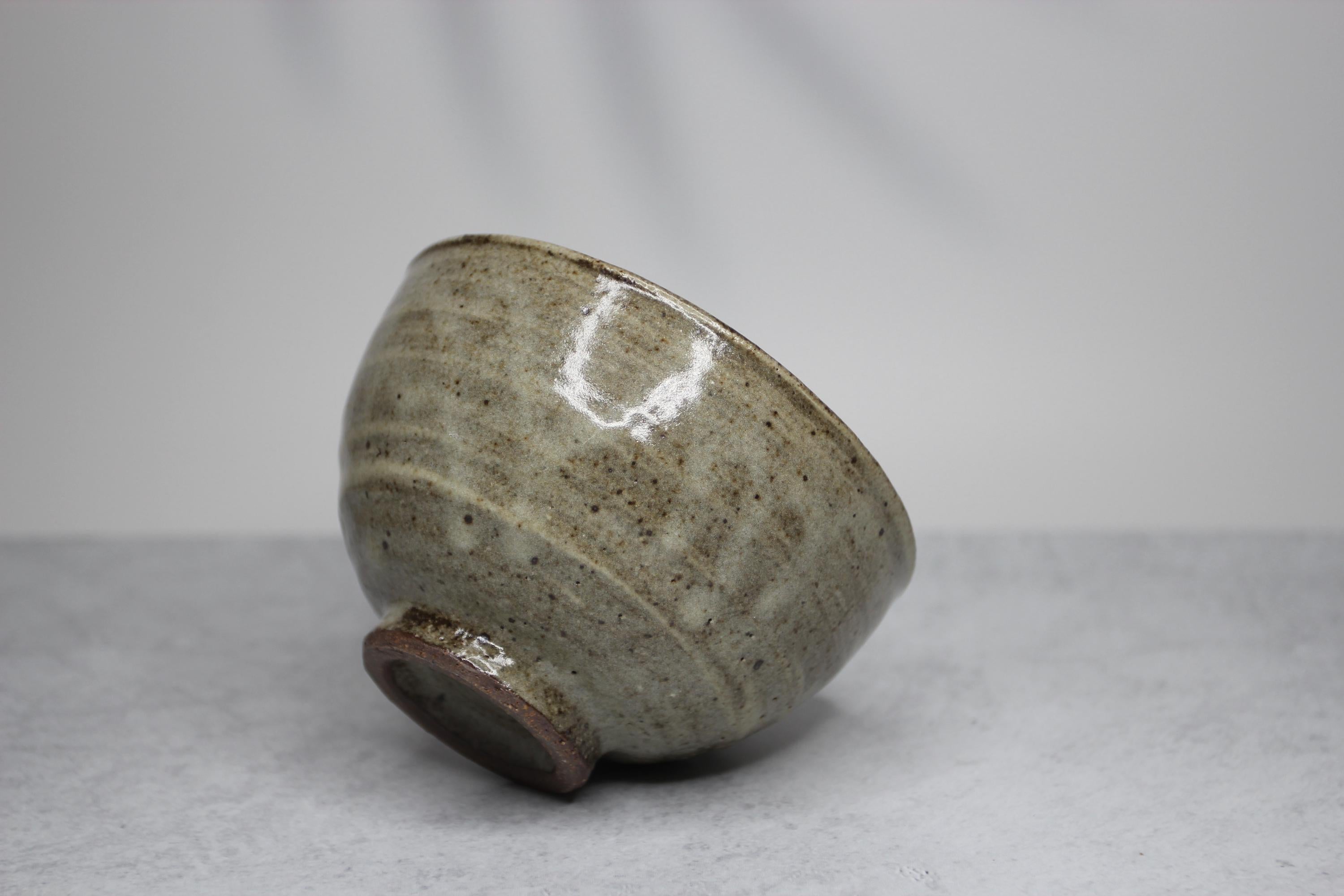 Handmade Shigaraki Ware Bowl: Rustic Japanese Ceramic Tableware