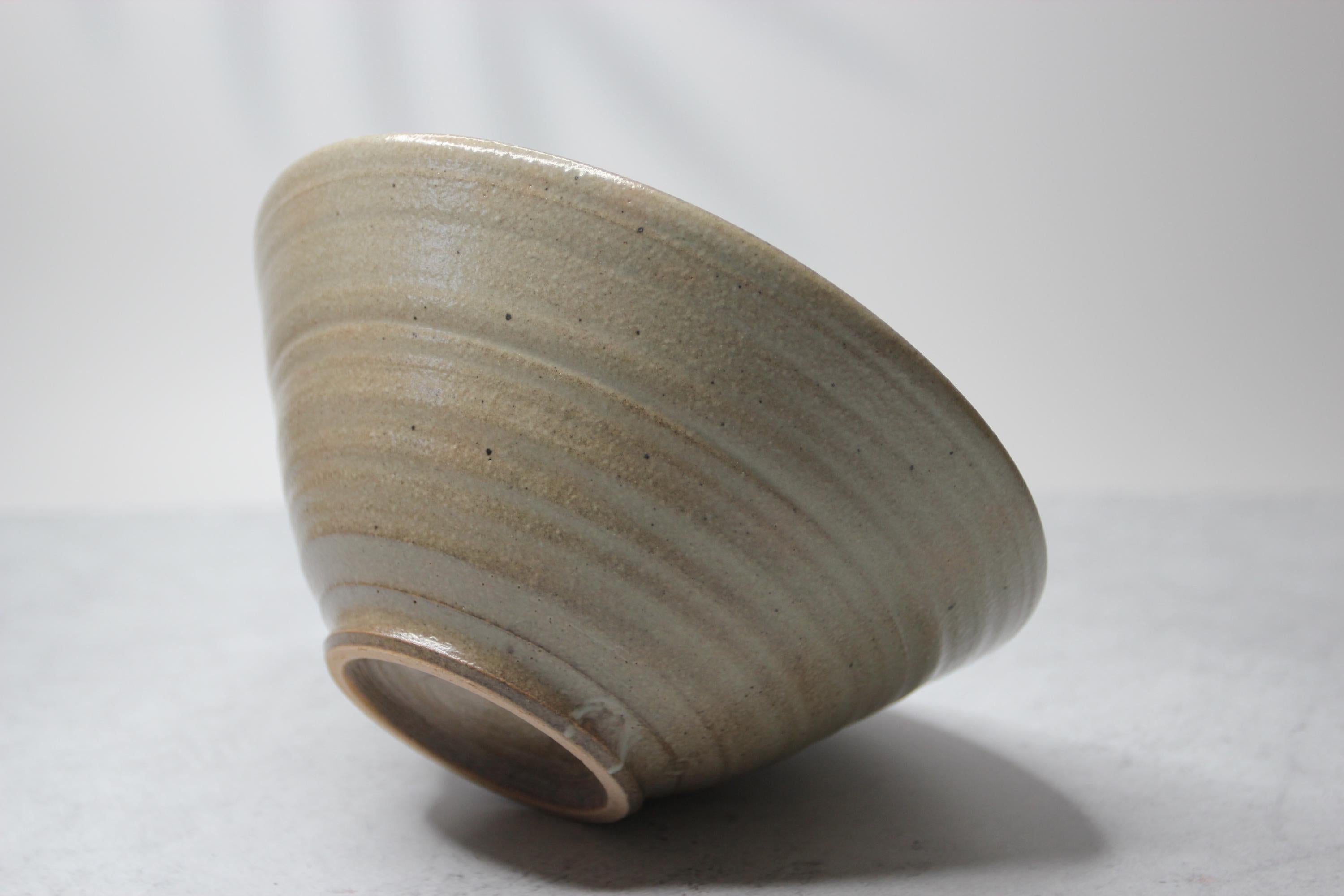 Handmade Shigaraki Ware Donburi Bowl: Japanese Ramen Bowl, Wabi Sabi Pottery