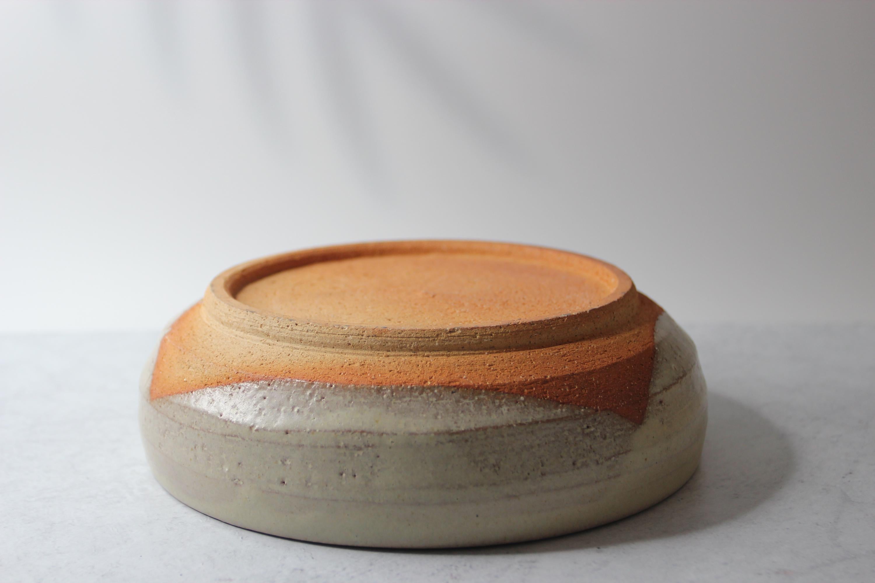 Handmade Shigaraki Ware Bowl: Rustic Japanese Ceramic Dinnerware