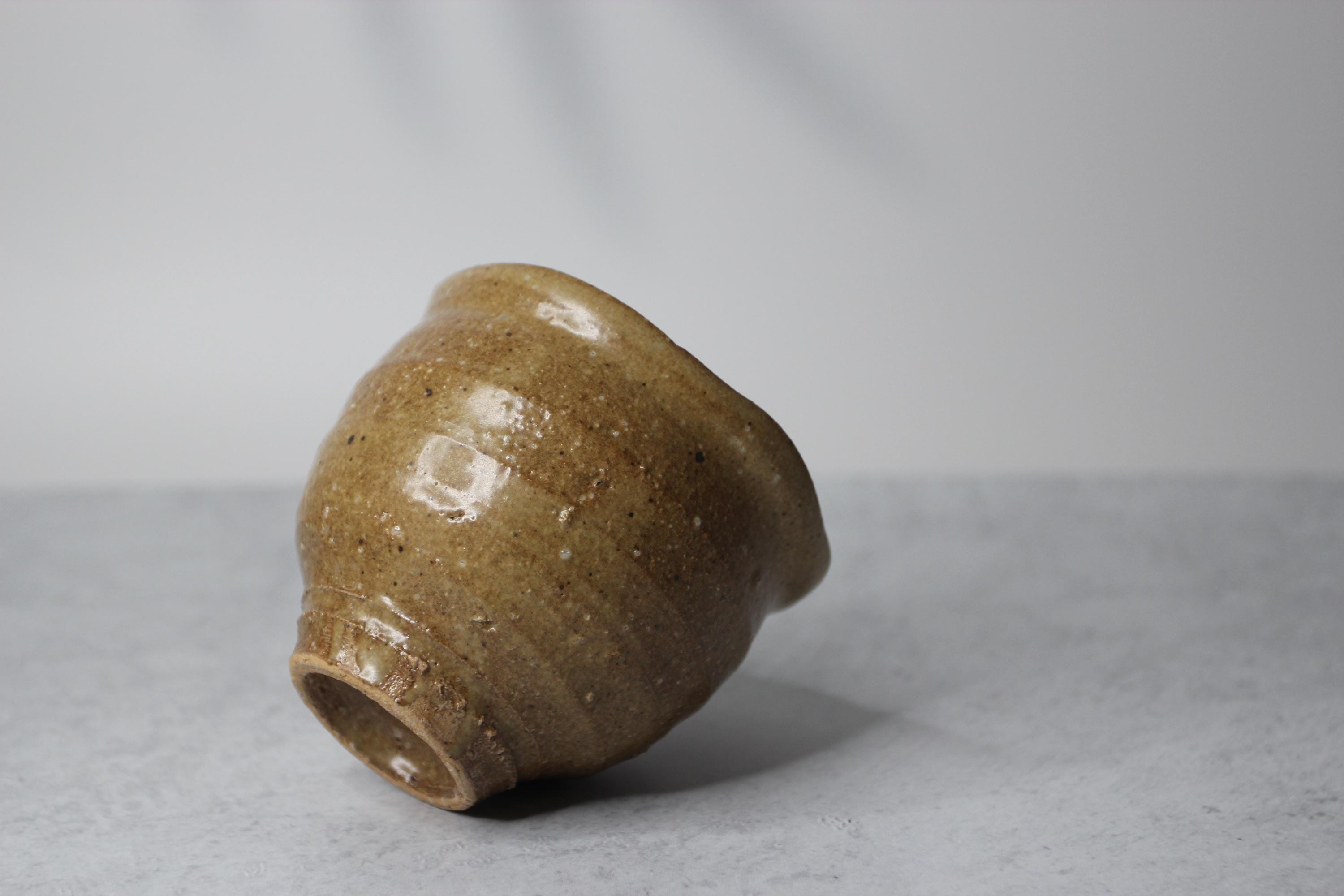 Handmade Shigaraki Ware Yunomi: Rustic Japanese Tea Cup (240ml, Made in Japan)