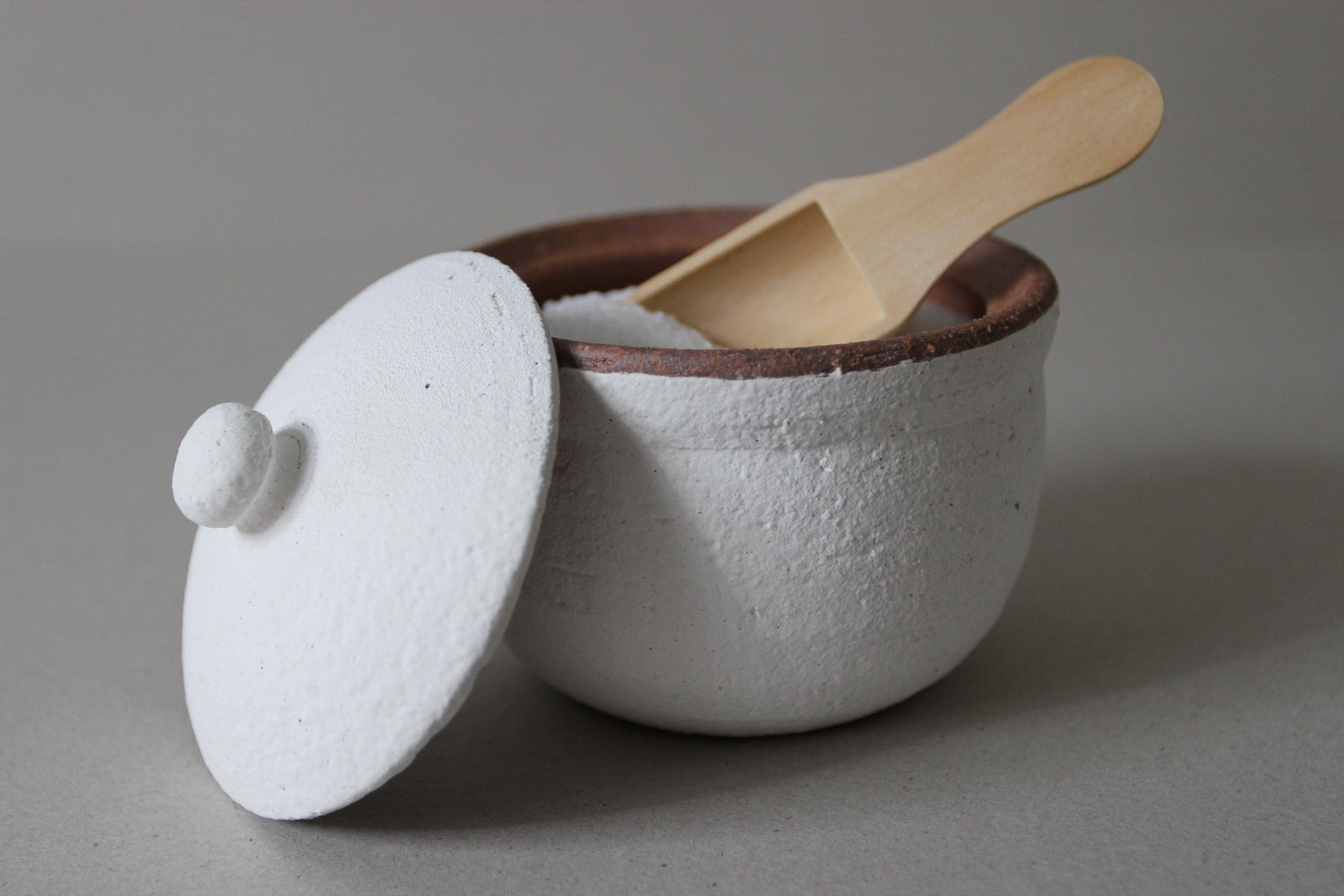 Handmade Shigaraki Salt Pot: Japanese Ceramic Kitchen Jar, Rustic Decor
