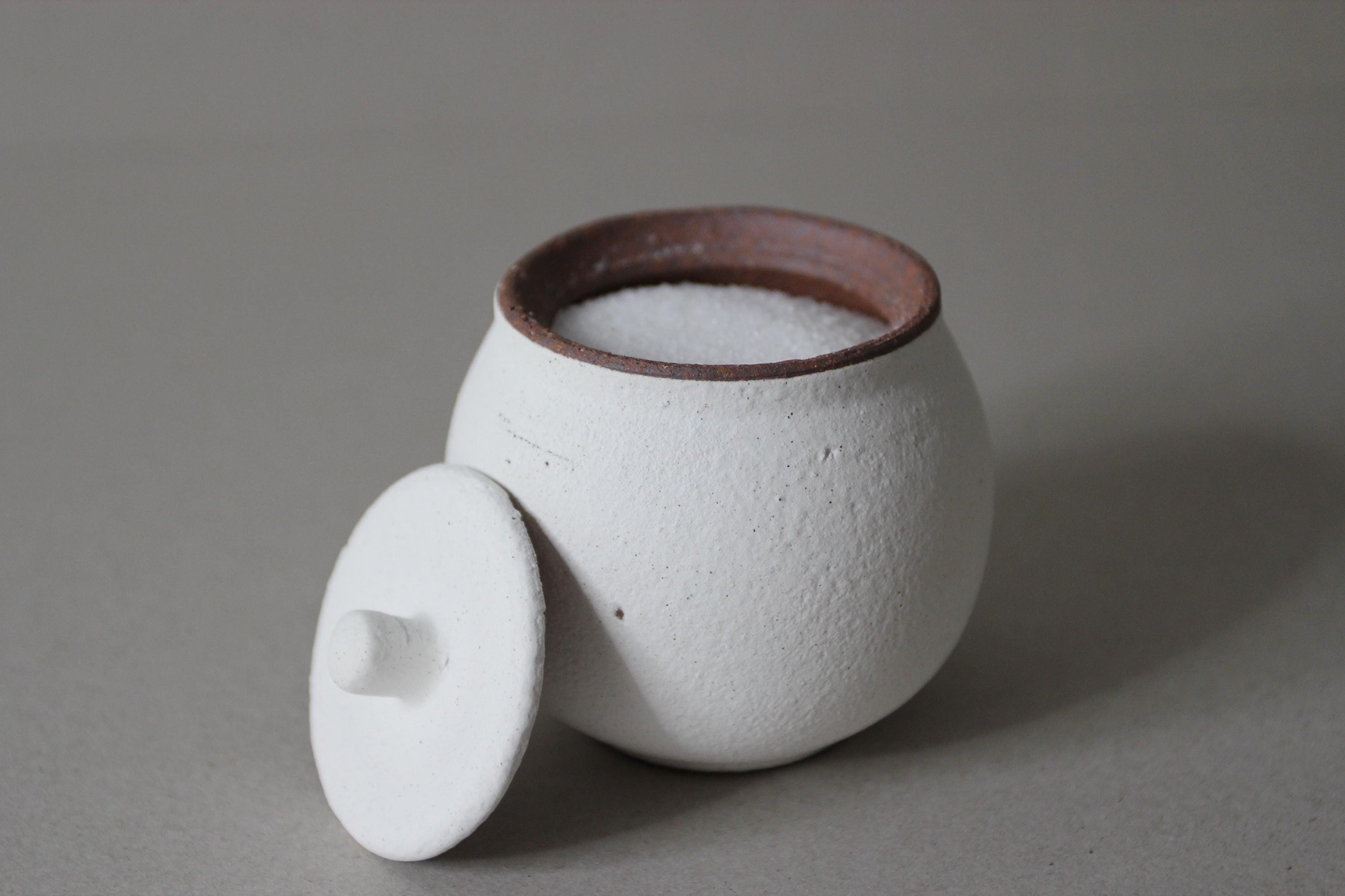 Handmade Shigaraki Ceramic Salt Pot: Rustic Japanese Kitchen Jar