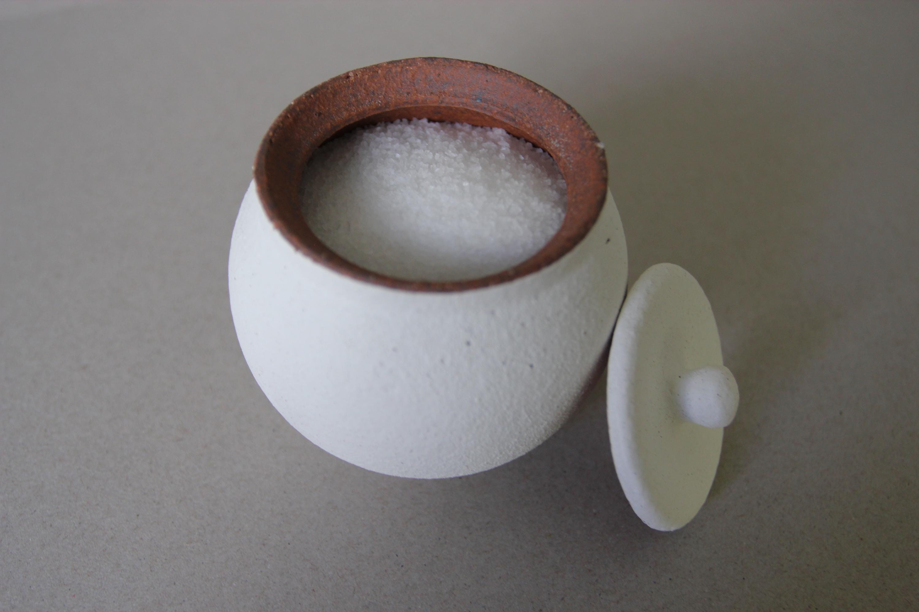 Handmade Shigaraki Ceramic Salt Pot: Rustic Japanese Kitchen Jar