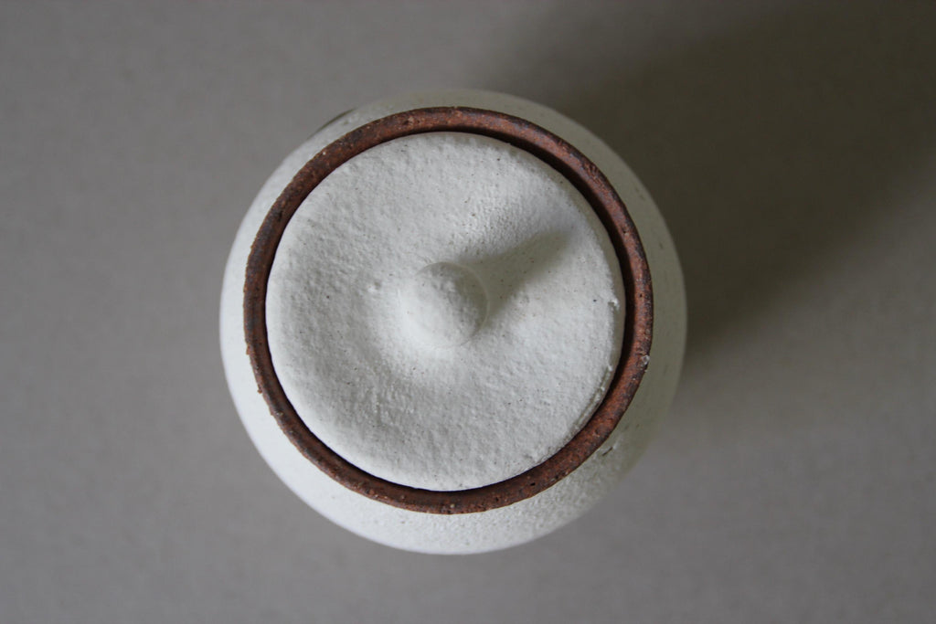 Handmade Shigaraki Ceramic Salt Pot: Rustic Japanese Kitchen Jar