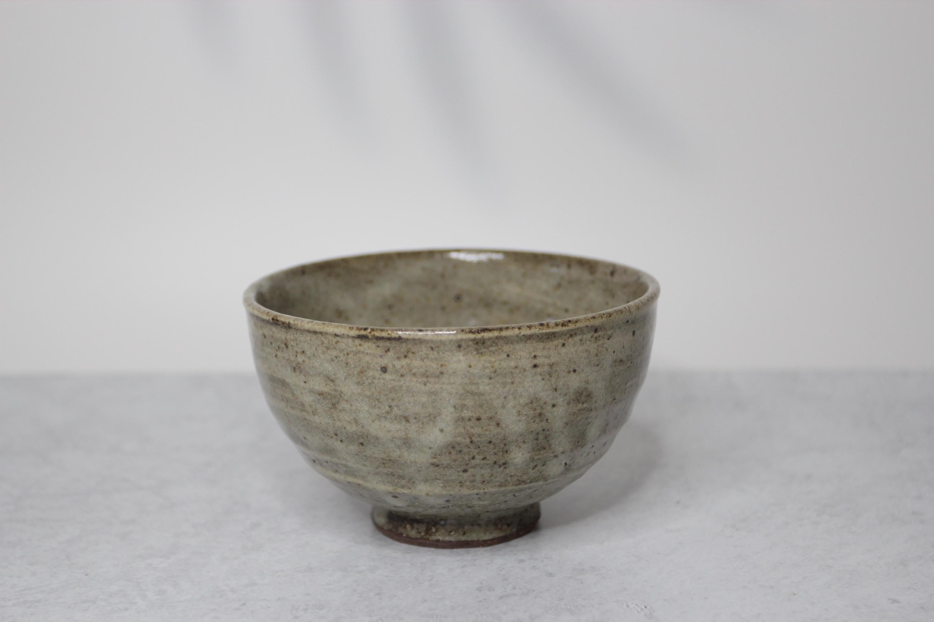 Handmade Shigaraki Ware Bowl: Rustic Japanese Ceramic Tableware