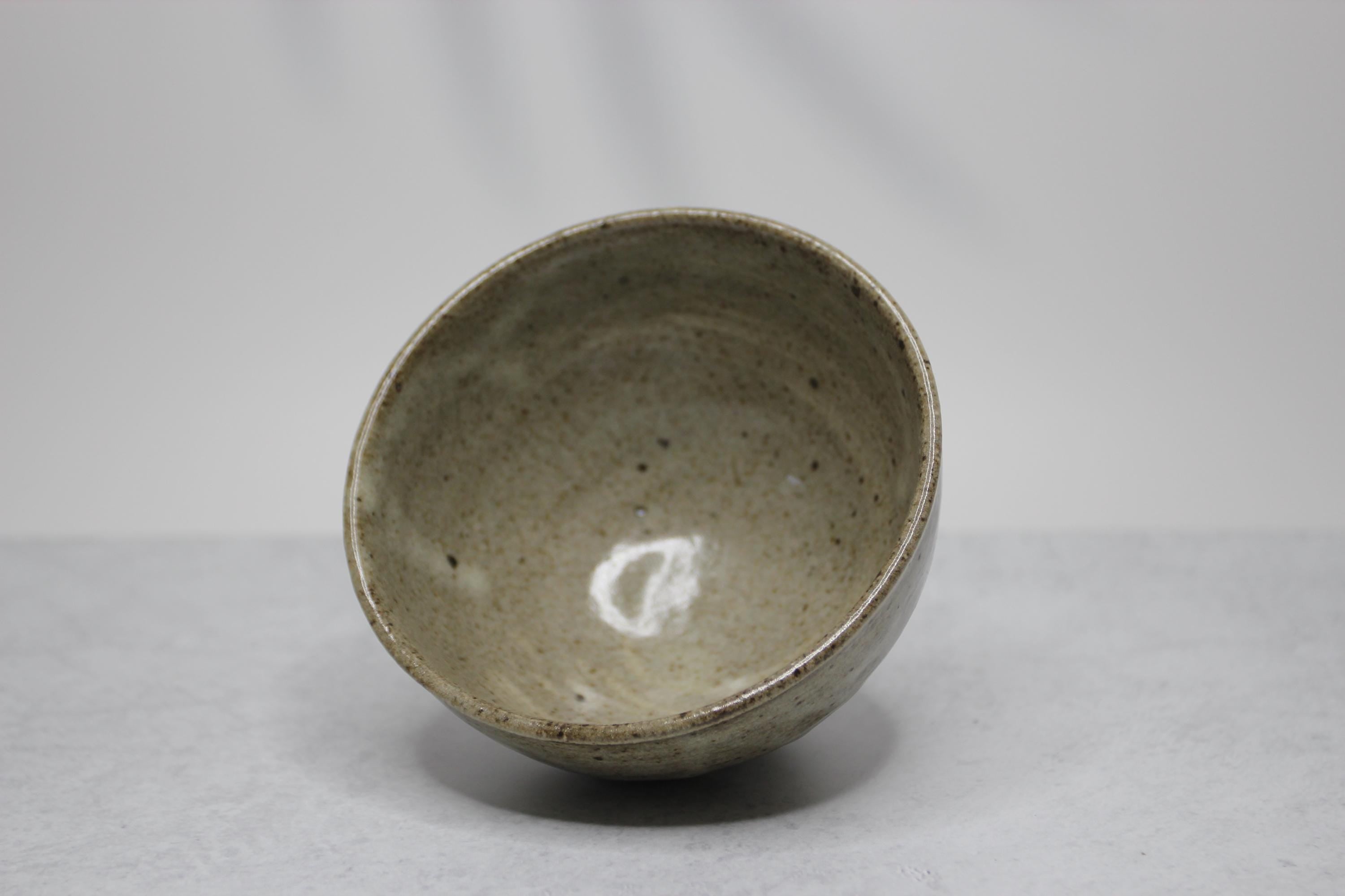 Handmade Shigaraki Ware Bowl: Rustic Japanese Ceramic Tableware