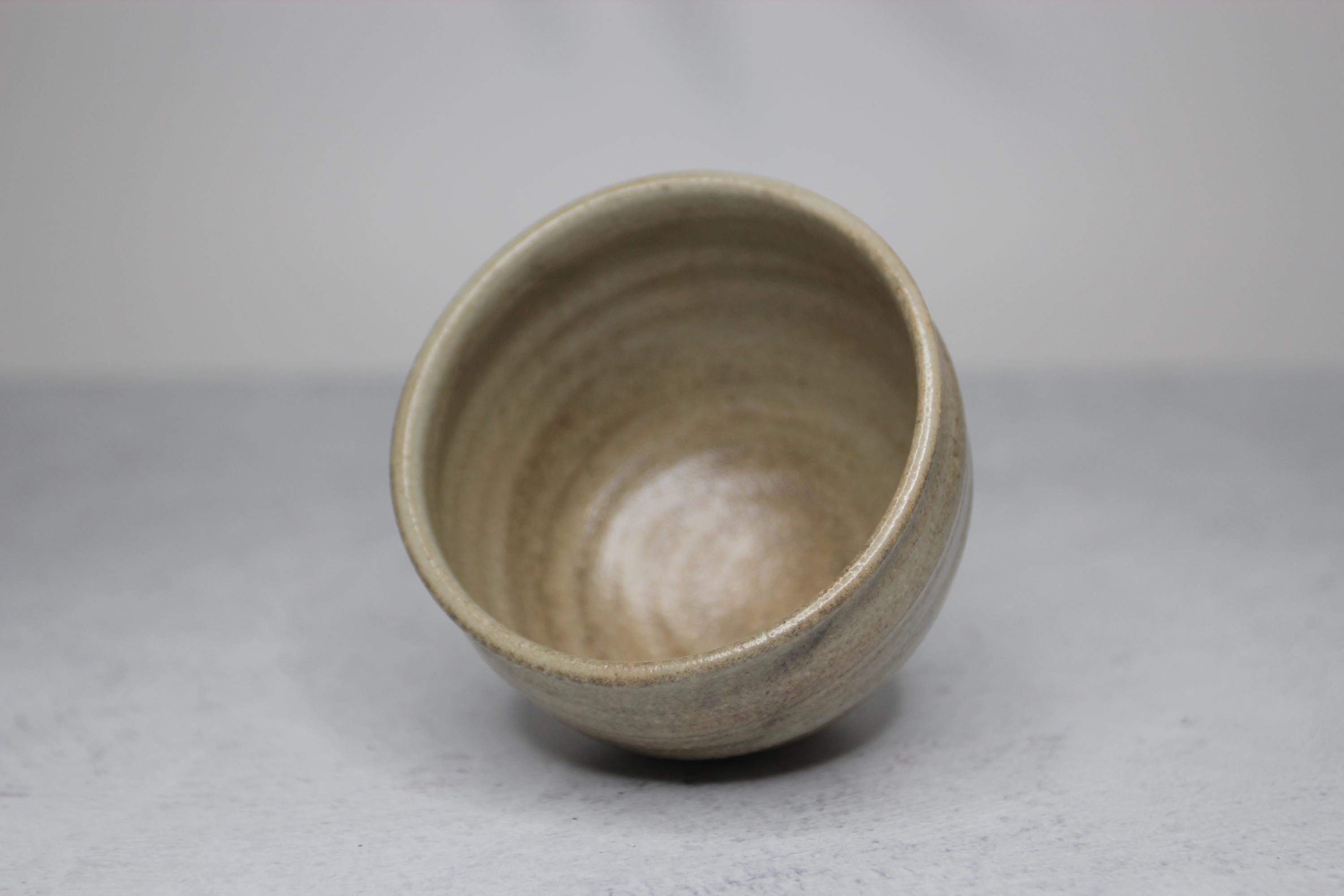 Handmade Shigaraki Ware Tea Cup: Rustic Japanese Yunomi (250ml)