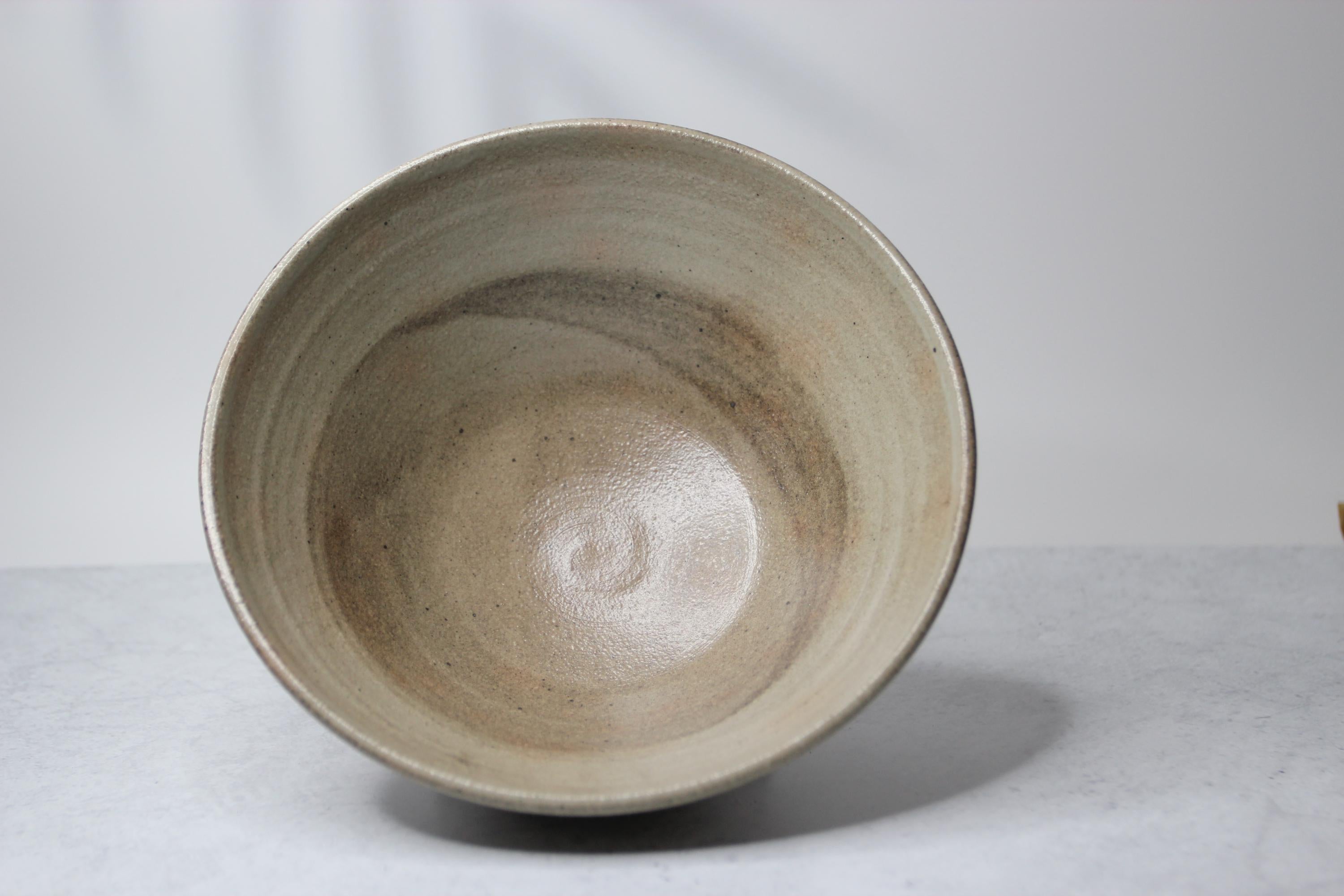 Handmade Shigaraki Ware Donburi Bowl: Japanese Ramen Bowl, Wabi Sabi Pottery