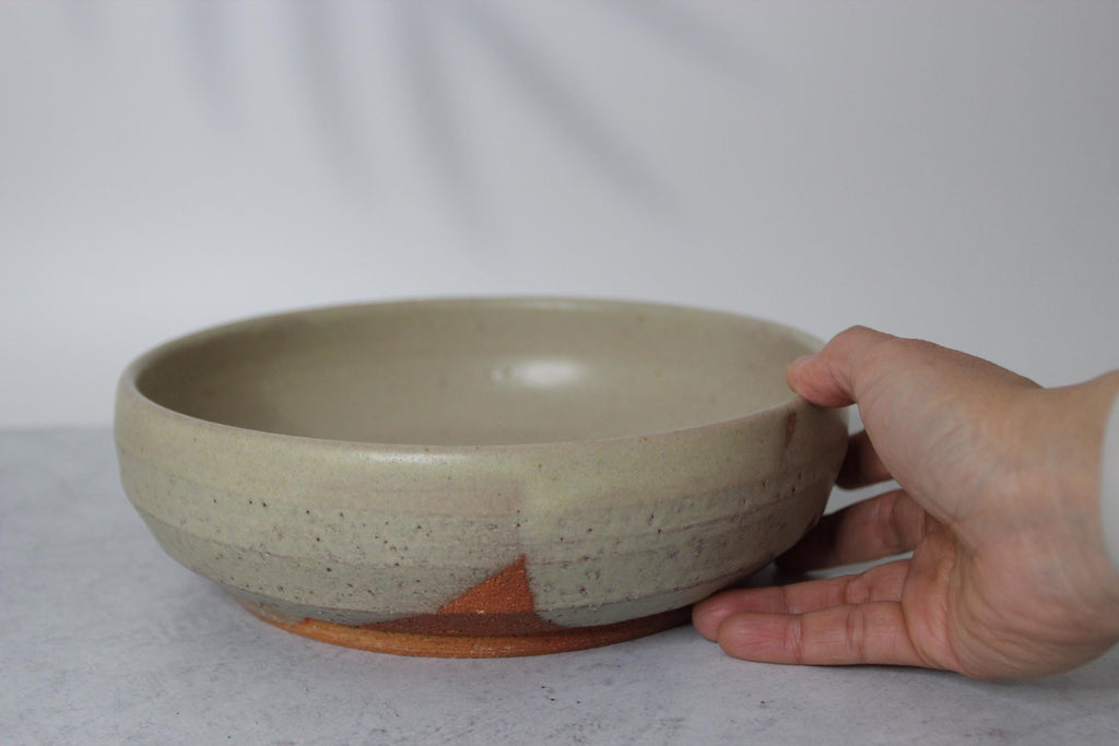 Handmade Shigaraki Ware Bowl: Rustic Japanese Ceramic Dinnerware