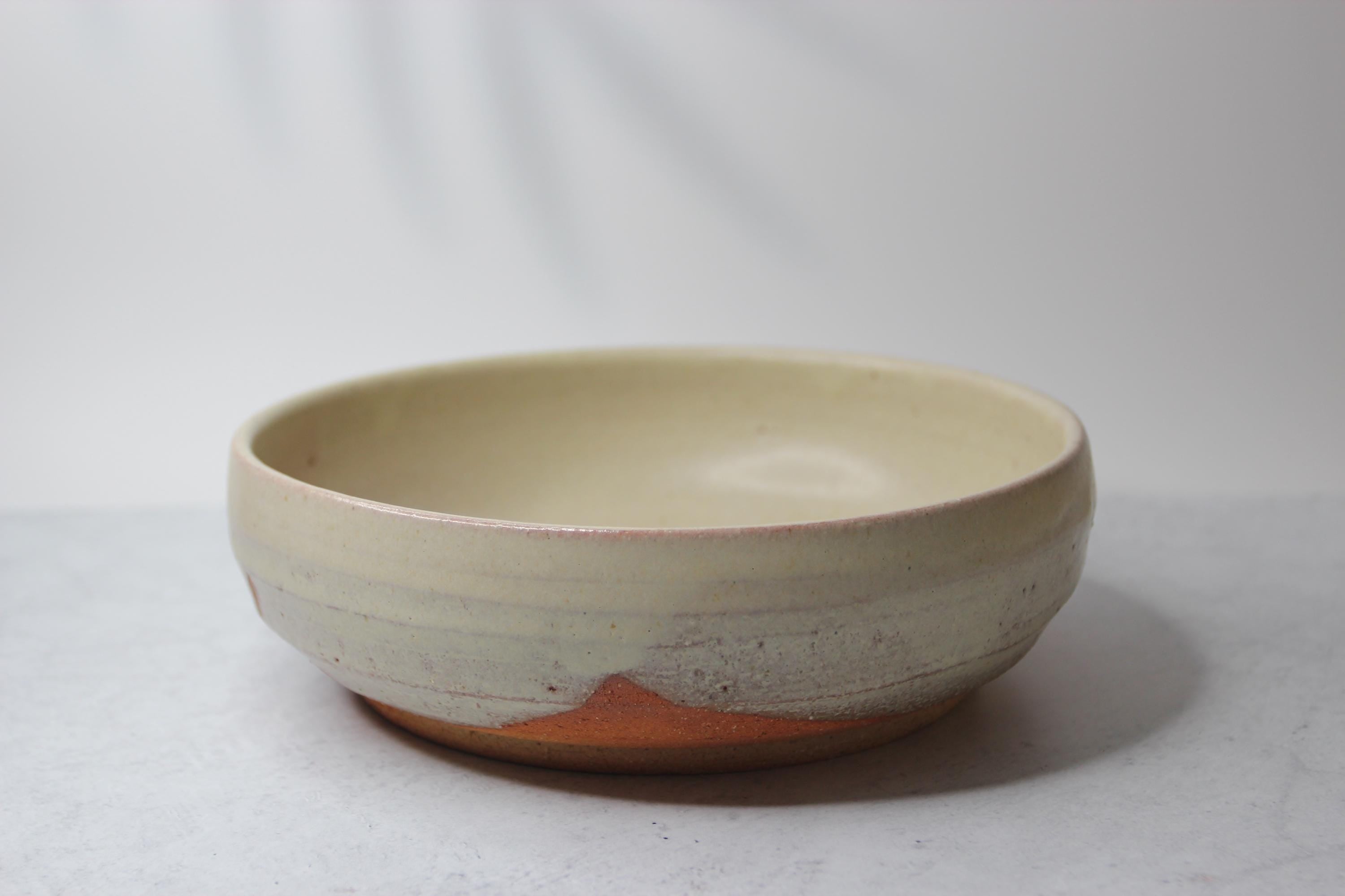 Handmade Shigaraki Ware Bowl: Rustic Japanese Ceramic Dinnerware