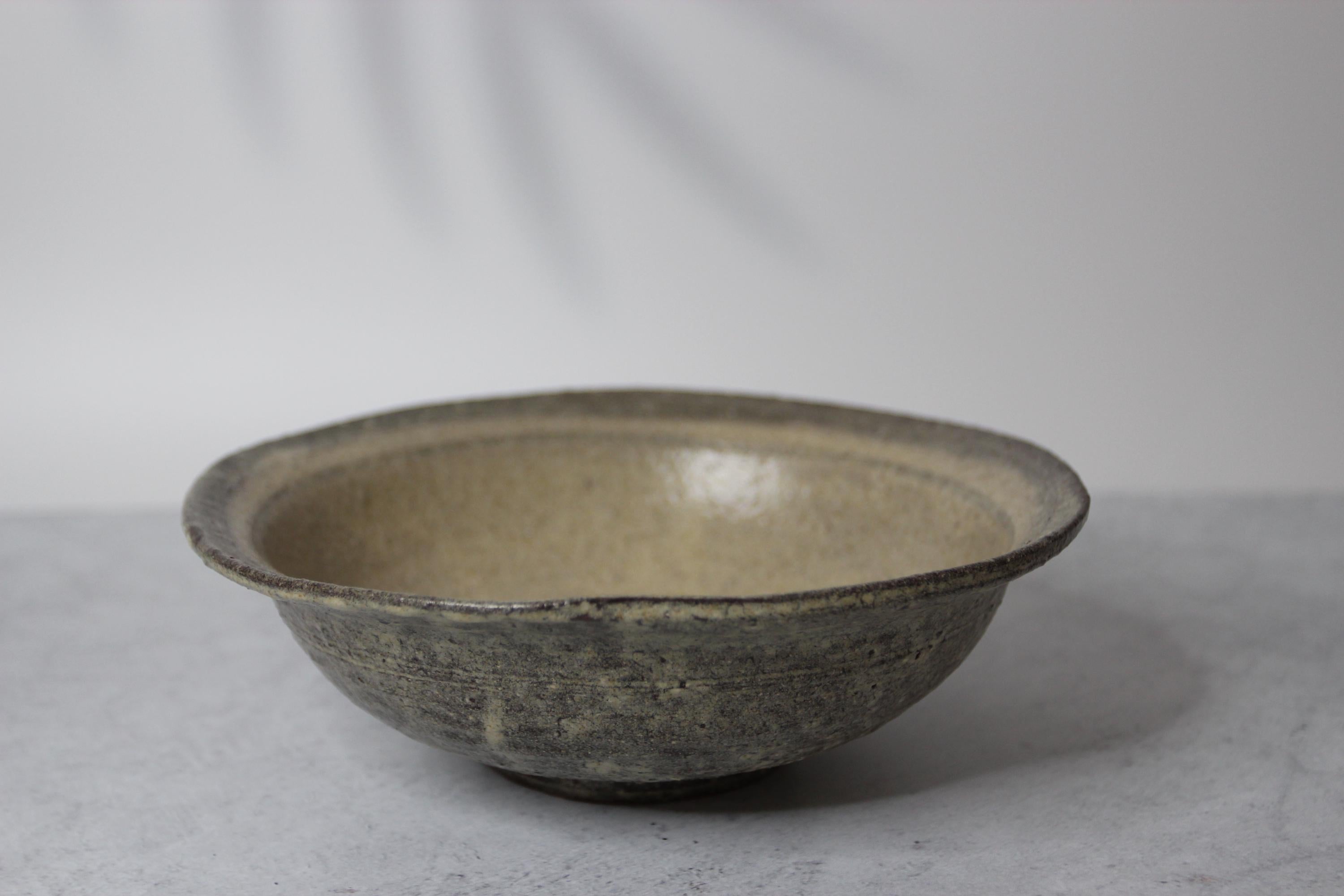 Handmade Shigaraki Ware Donburi Bowl: Ash Glazed Japanese Ceramic Serving Bowl