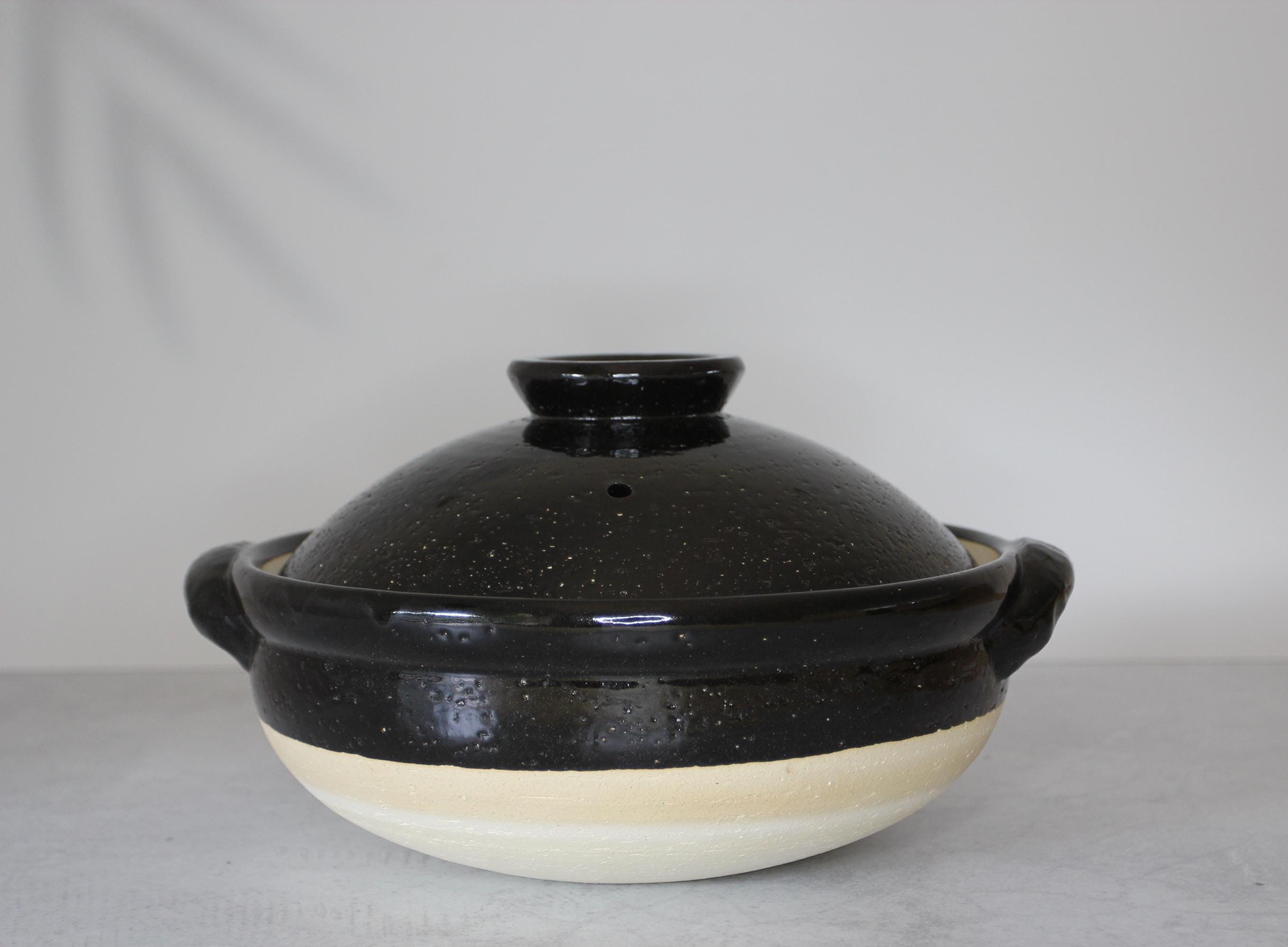Large Ko-Iga Donabe Japanese Clay Pot | Gas, Oven, Microwave Safe