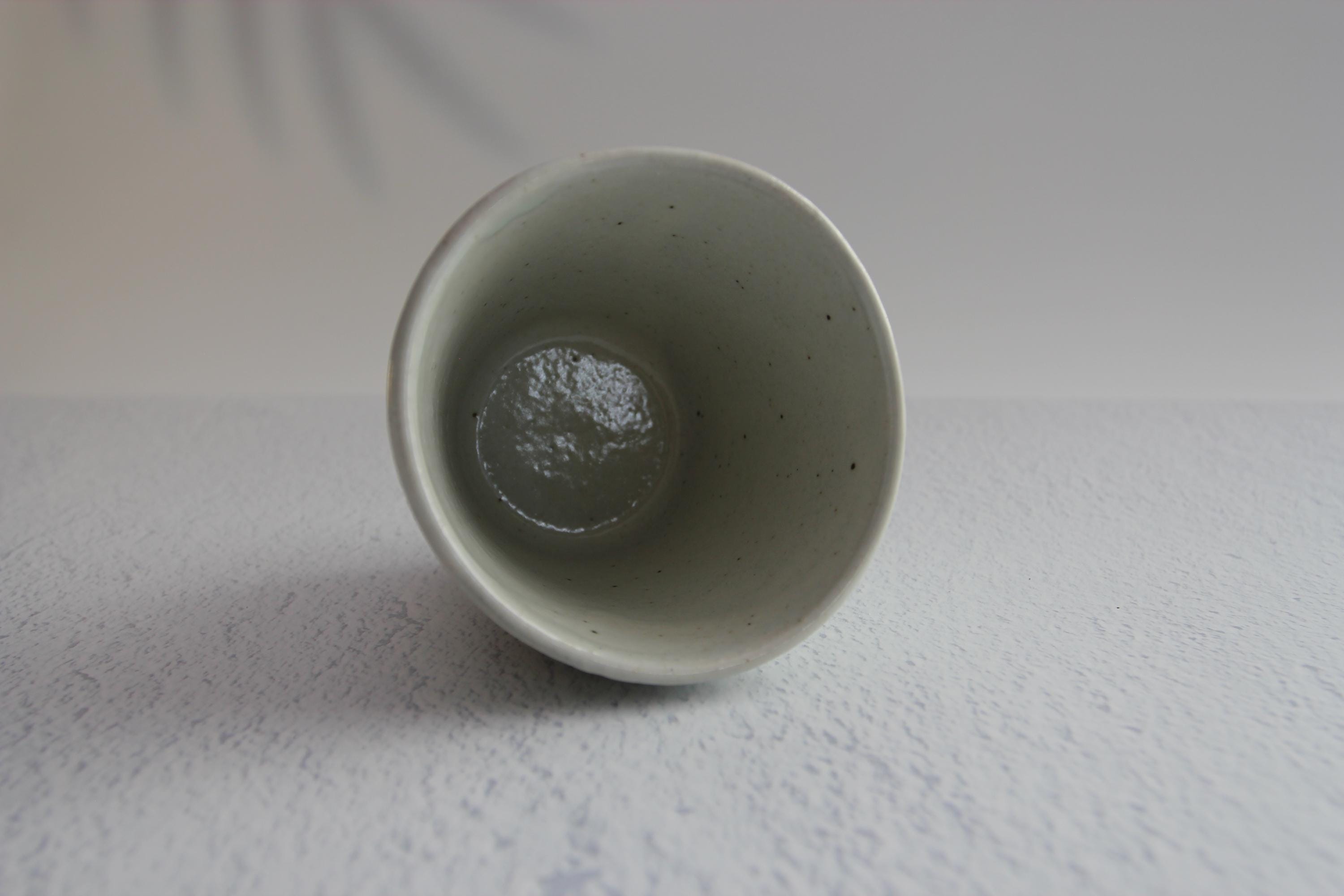 Handmade Shigaraki Kohiki Tea Cup: Japanese Pottery, 250ml