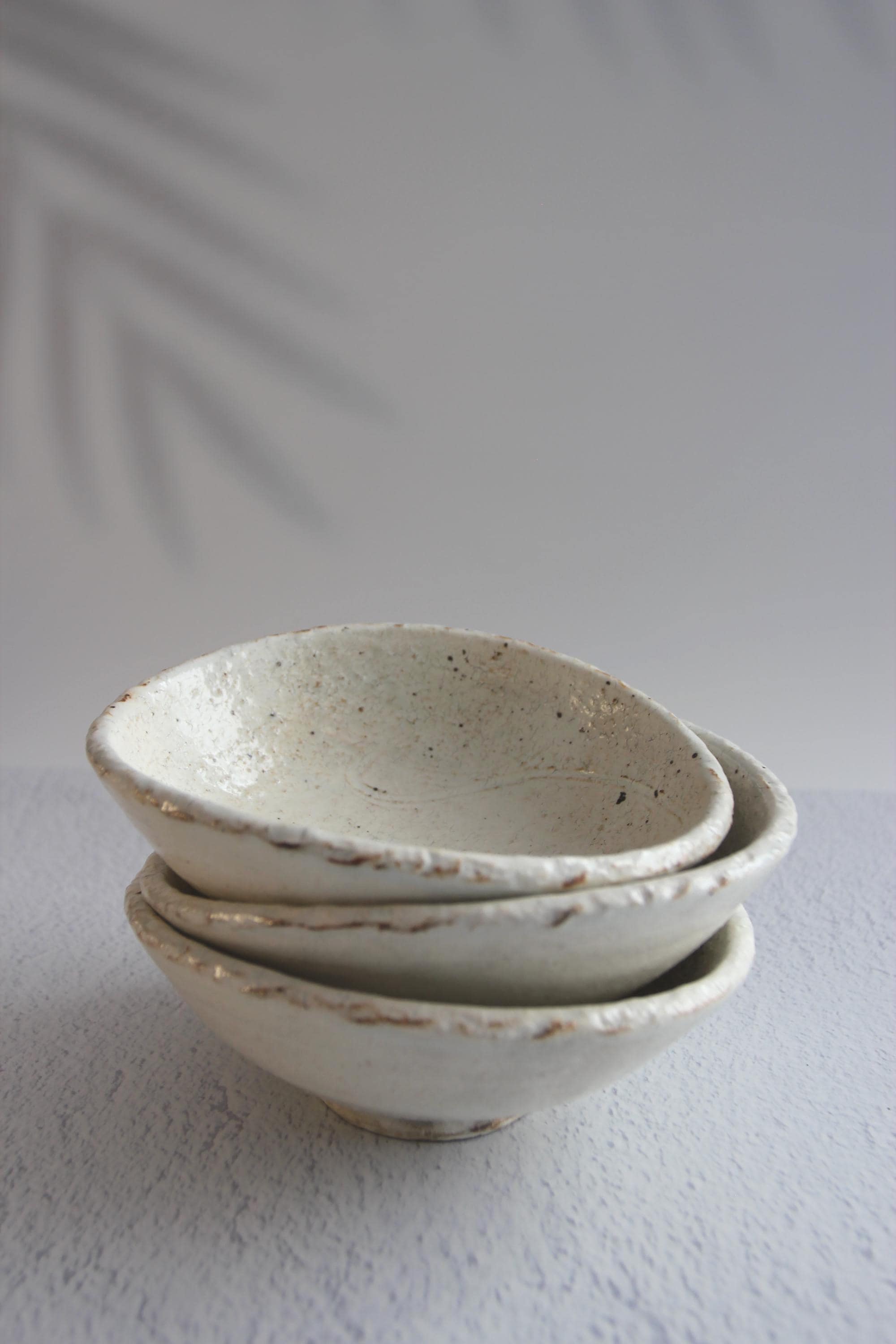 Handmade Shigaraki Ware Bowl: Ishime-Kohiki Glazed Japanese Pottery