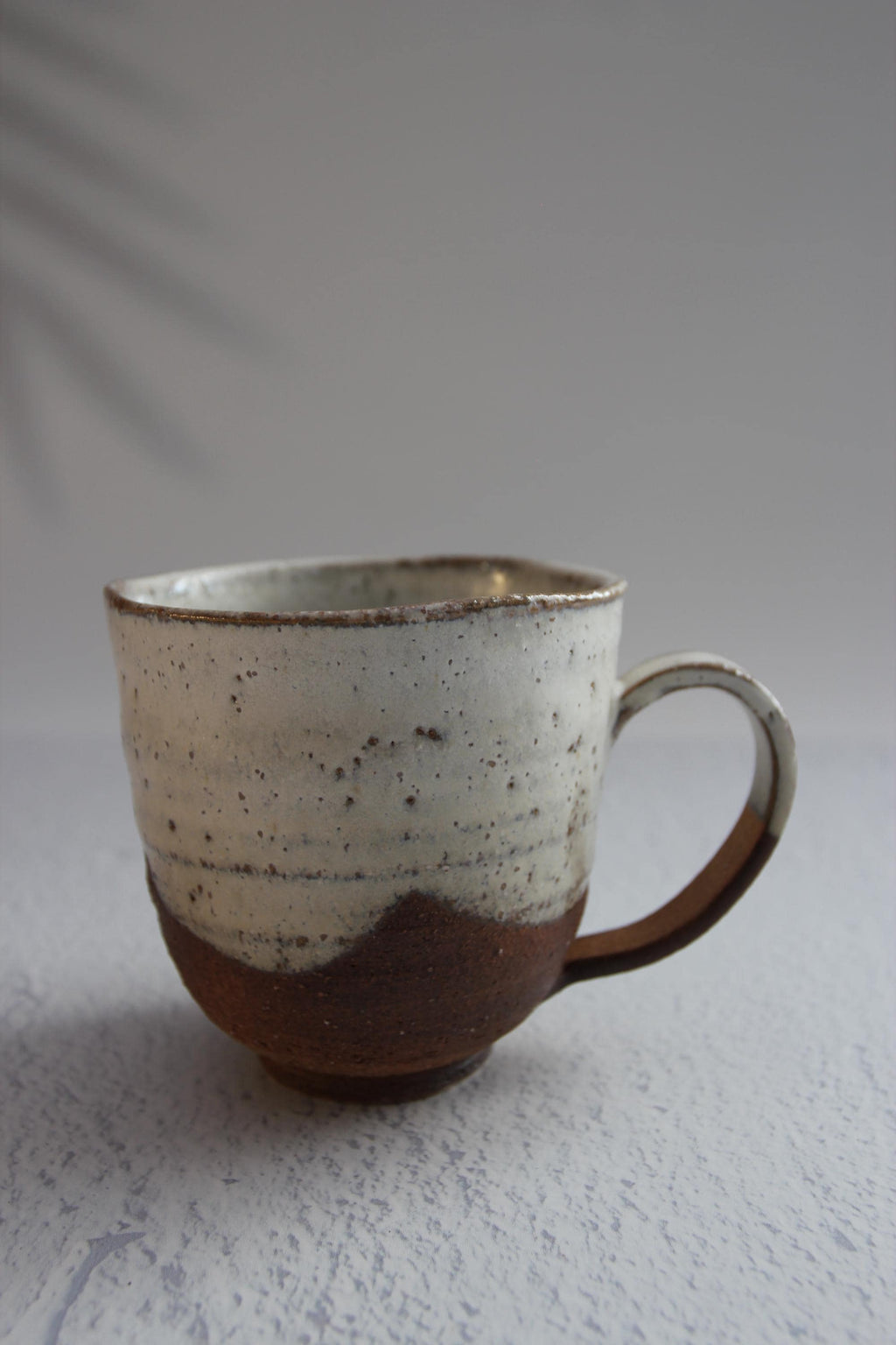 Handmade Shigaraki Ware Mug: Japanese Rustic Ceramic Cup (9.5cm, 350ml)