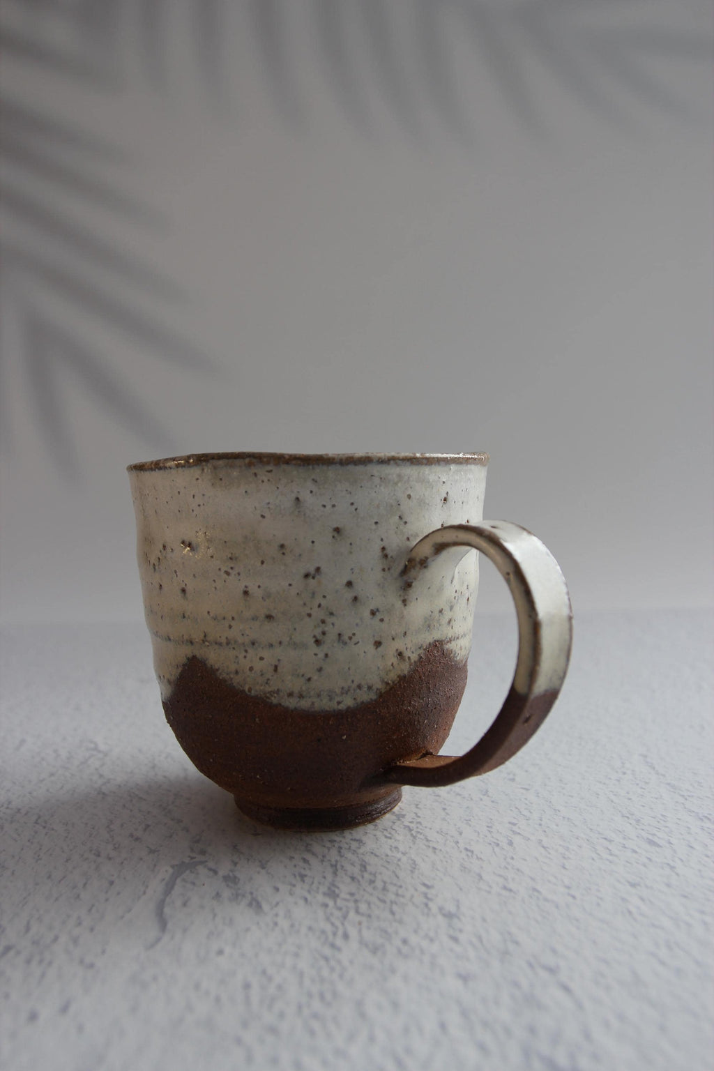 Handmade Shigaraki Ware Mug: Japanese Rustic Ceramic Cup (9.5cm, 350ml)
