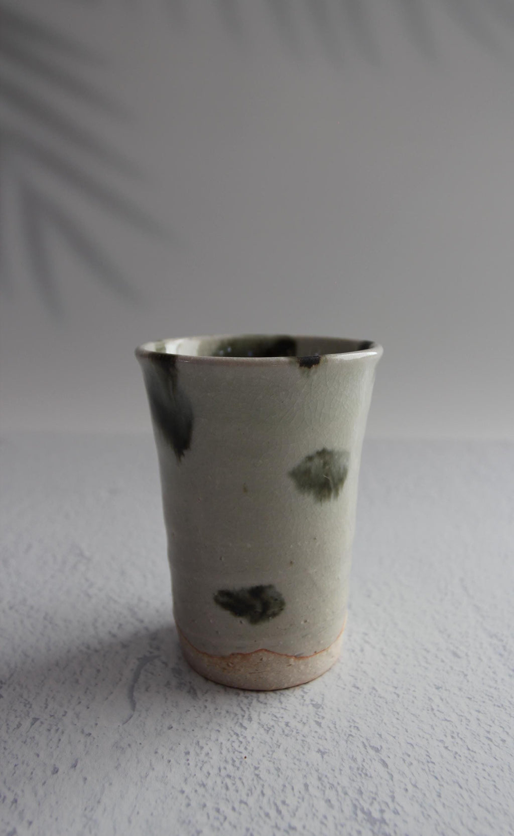 Handmade Shigaraki Ware Tea Cup: Japanese Ceramic Tumbler, 250ml