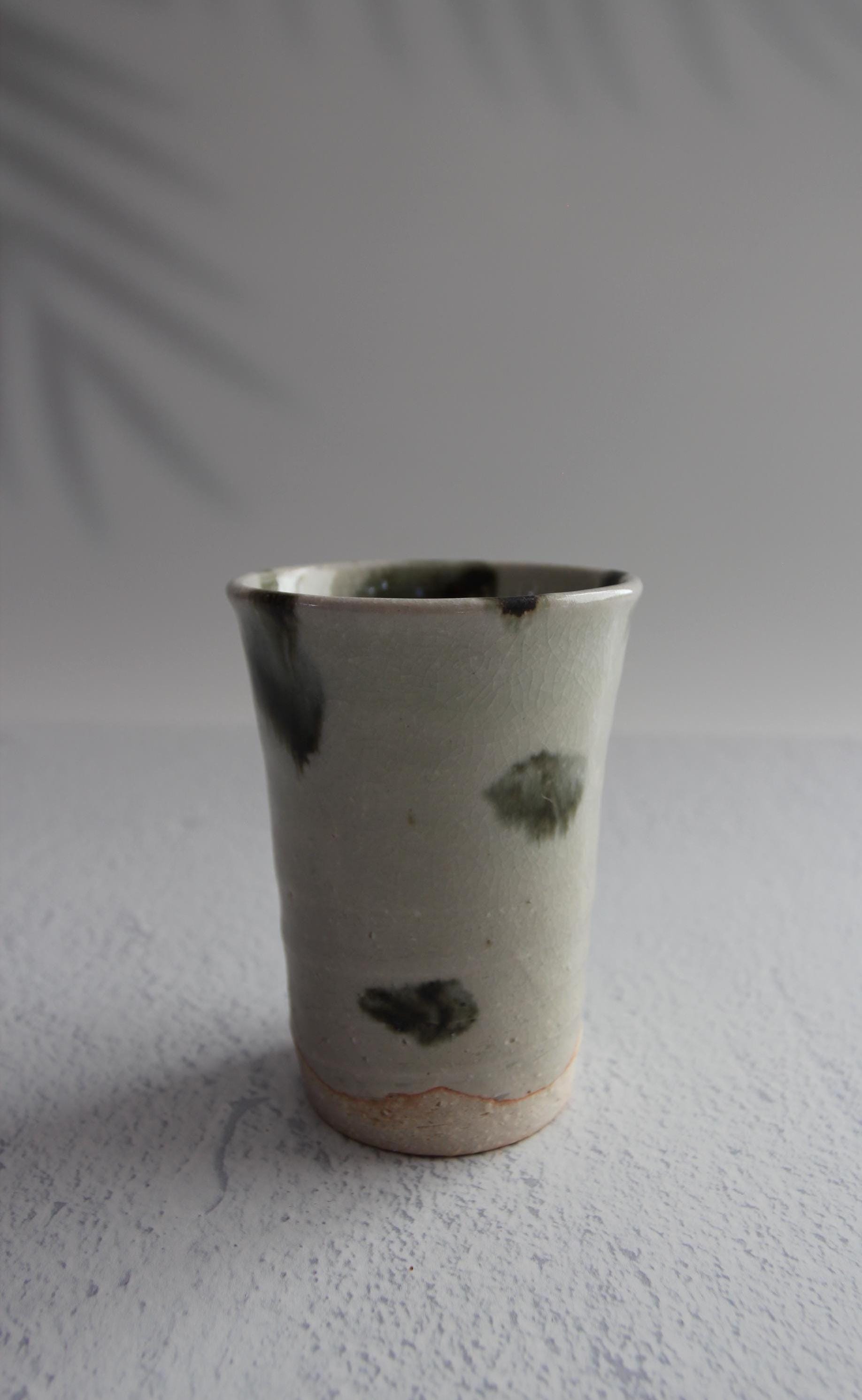 Handmade Shigaraki Ware Tea Cup: Japanese Ceramic Tumbler, 250ml
