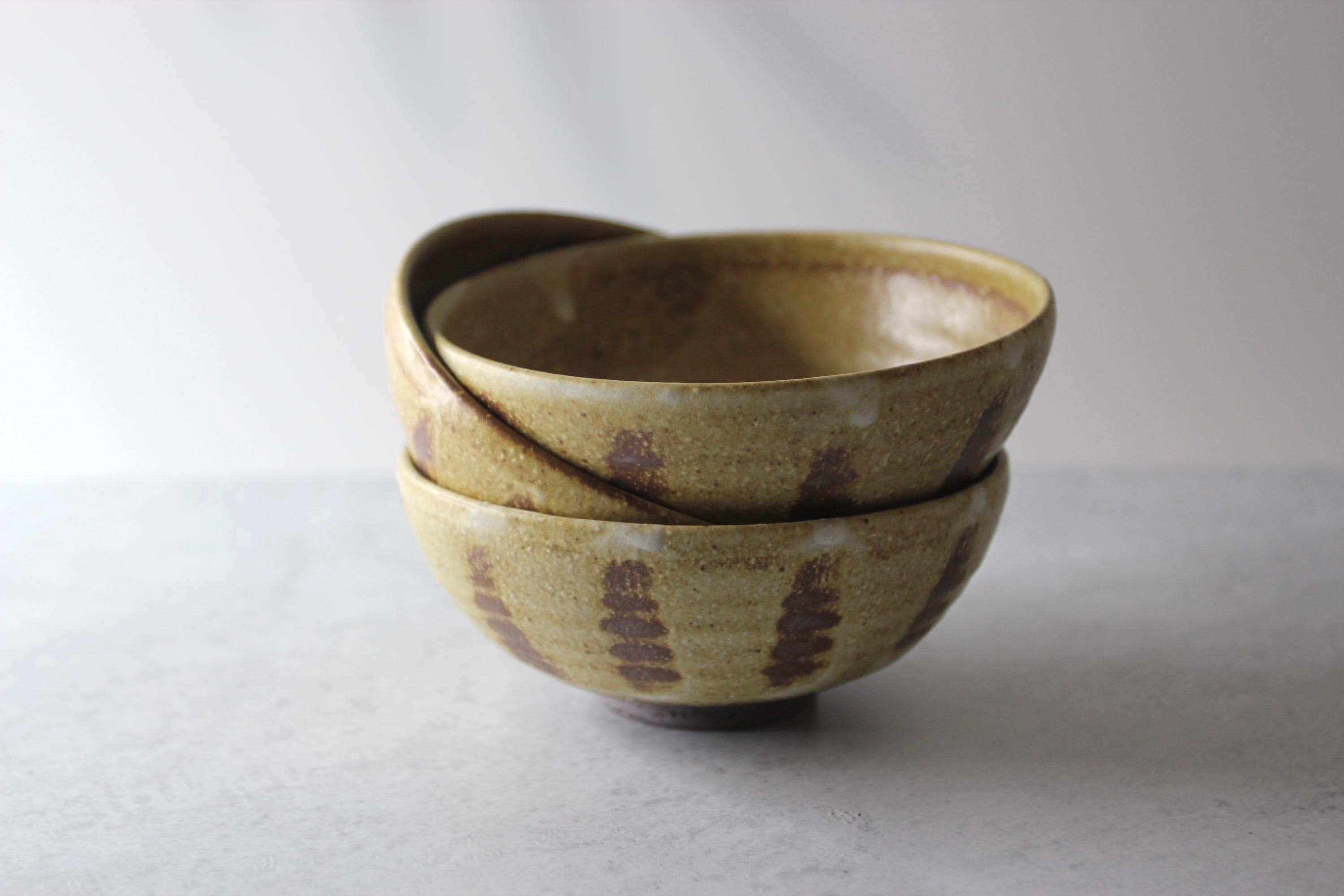 Handmade Shigaraki Ware Rice Bowl: Rustic Japanese Ceramic Tableware