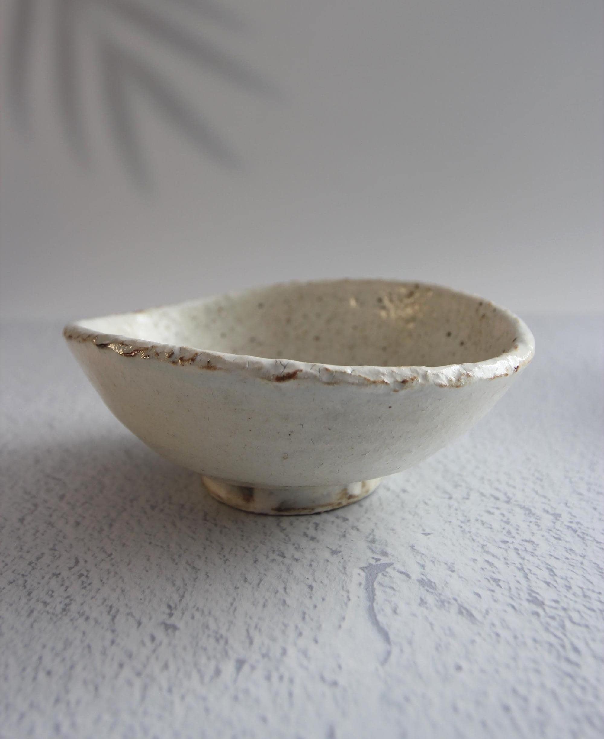 Handmade Shigaraki Ware Bowl: Ishime-Kohiki Glazed Japanese Pottery
