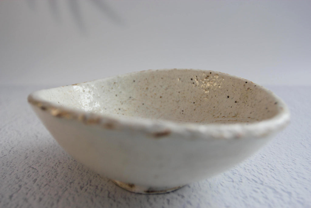 Handmade Shigaraki Ware Bowl: Ishime-Kohiki Glazed Japanese Pottery