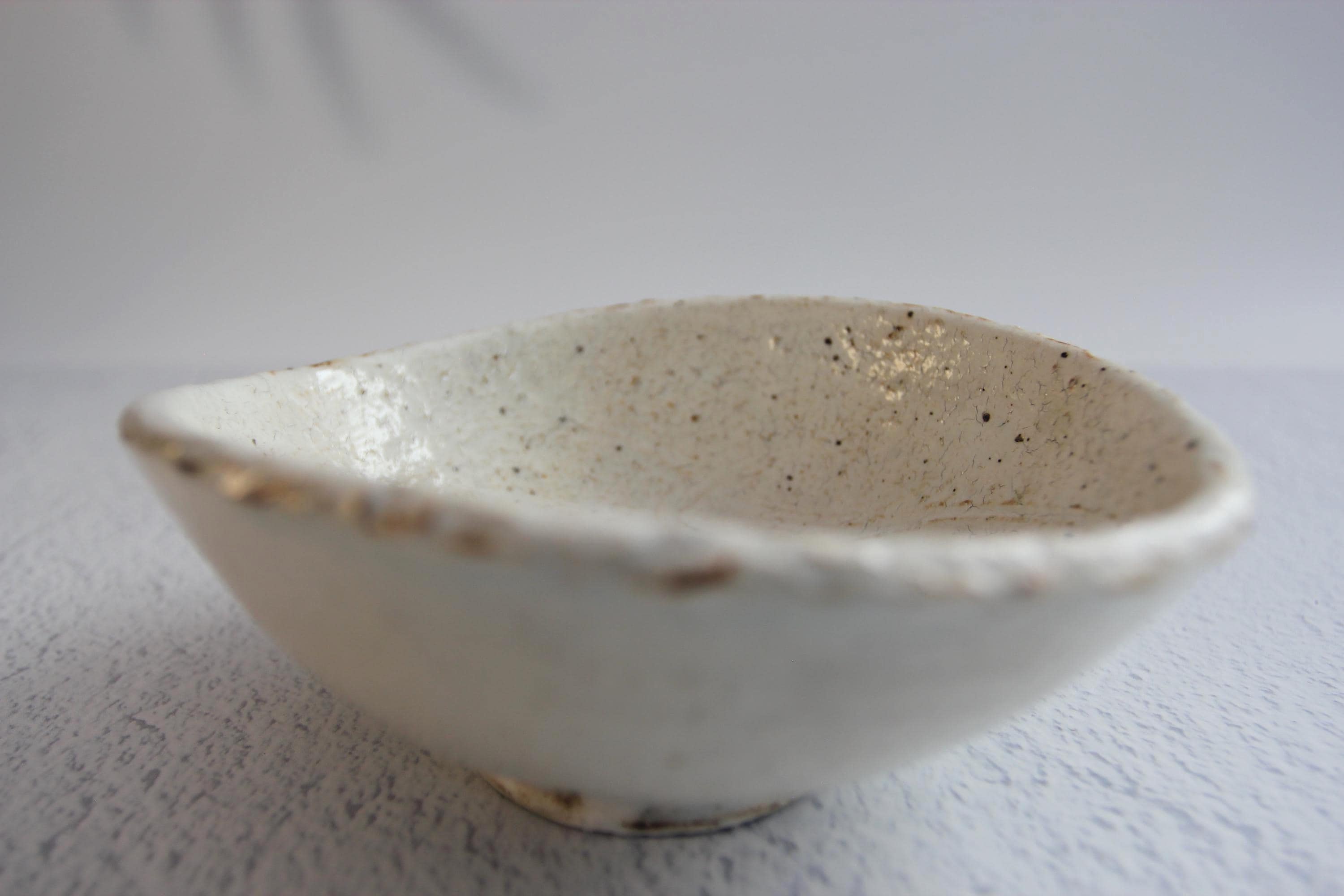 Handmade Shigaraki Ware Bowl: Ishime-Kohiki Glazed Japanese Pottery