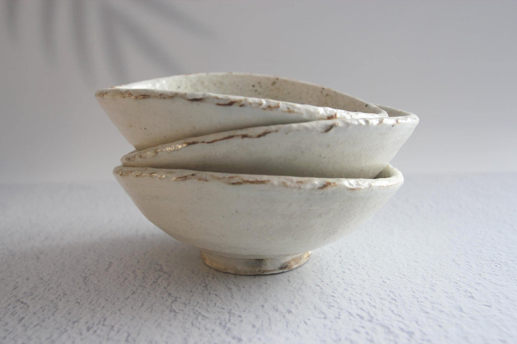 Handmade Shigaraki Ware Bowl: Ishime-Kohiki Glazed Japanese Pottery