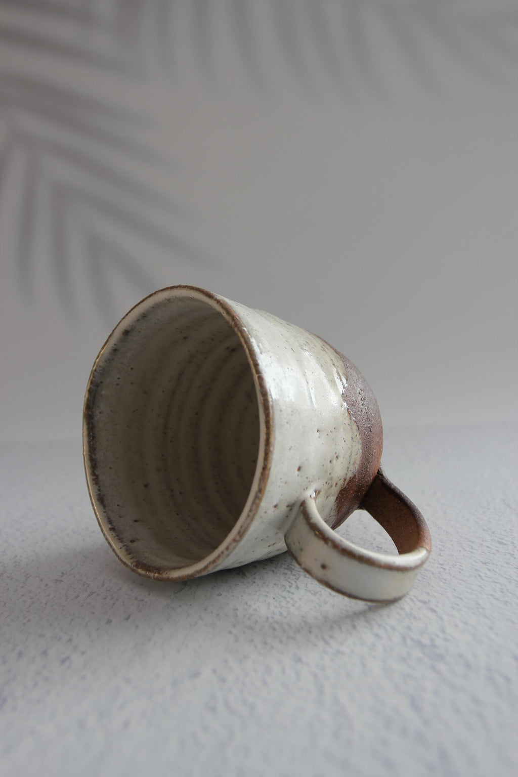 Handmade Shigaraki Ware Mug: Japanese Rustic Ceramic Cup (9.5cm, 350ml)