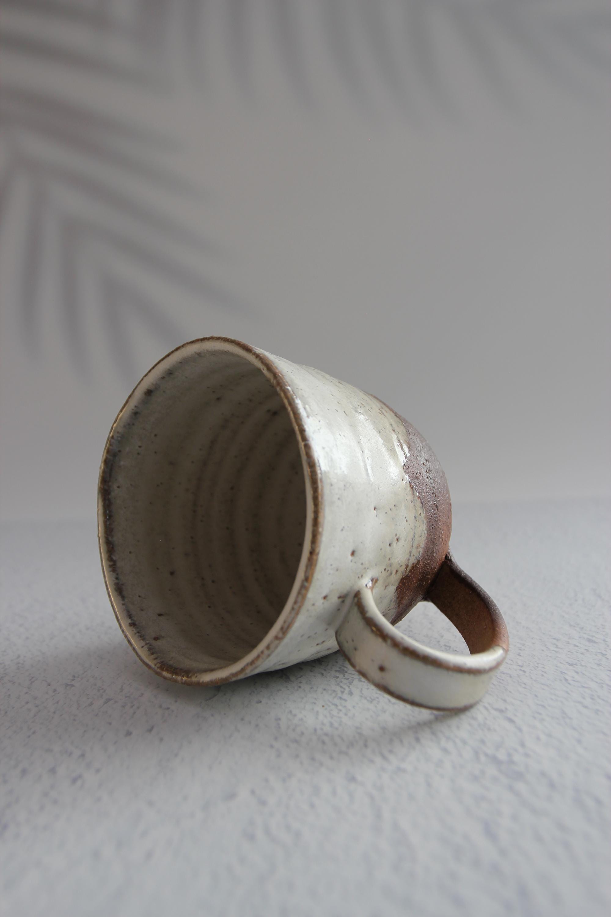 Handmade Shigaraki Ware Mug: Japanese Rustic Ceramic Cup (9.5cm, 350ml)