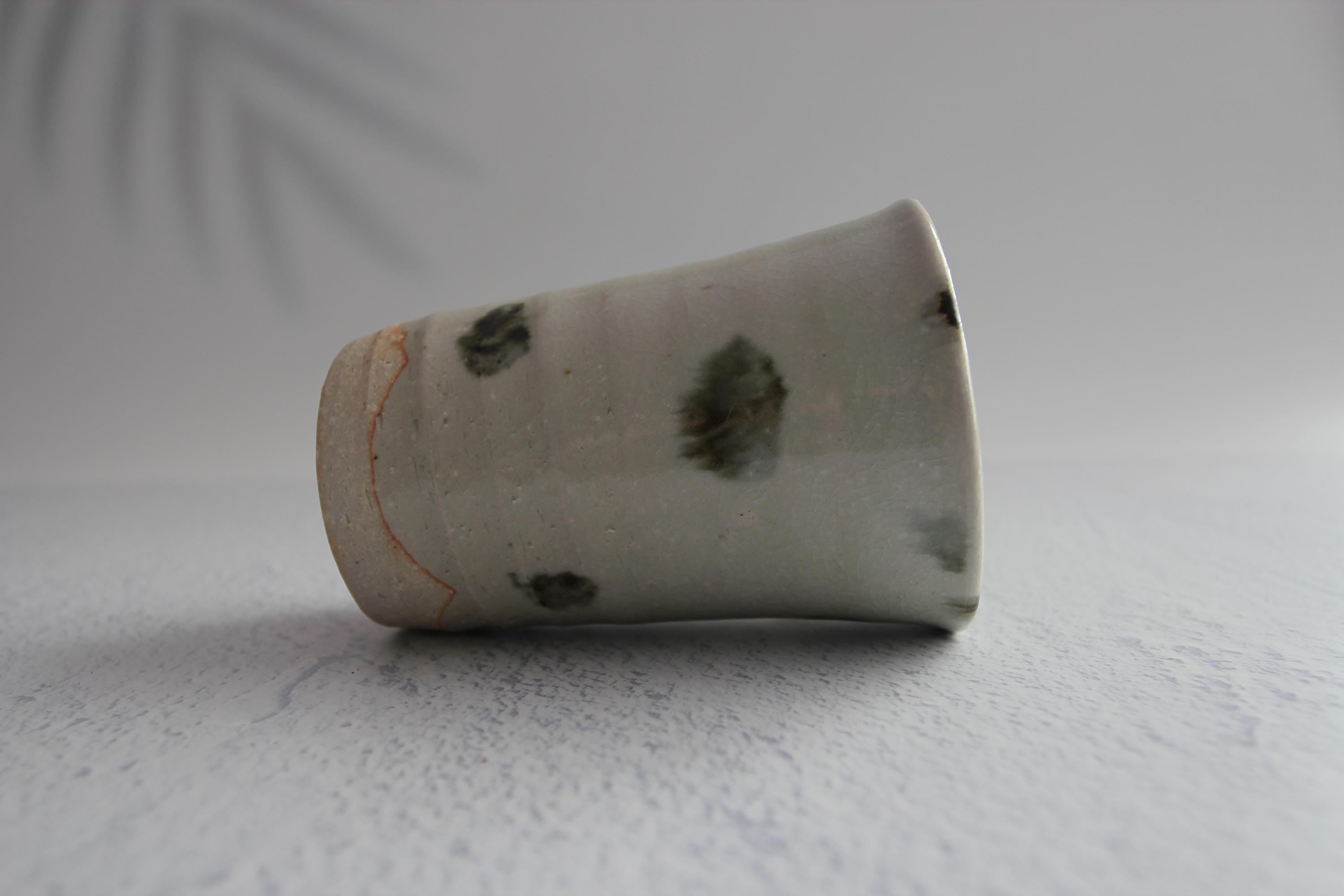 Handmade Shigaraki Ware Tea Cup: Japanese Ceramic Tumbler, 250ml