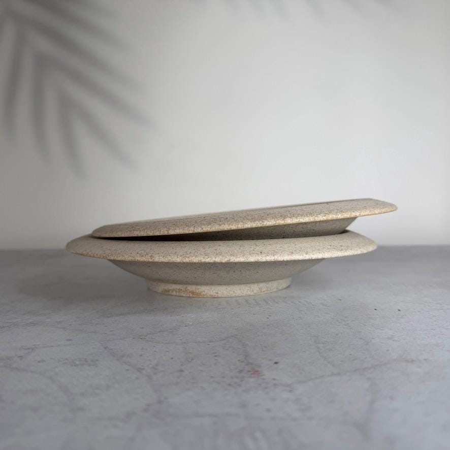 Mino Ware Porto 24cm Pasta Plate  Silk Robe Japanese Ceramic Plate, Wide Pasta Bowl, Made in Japan