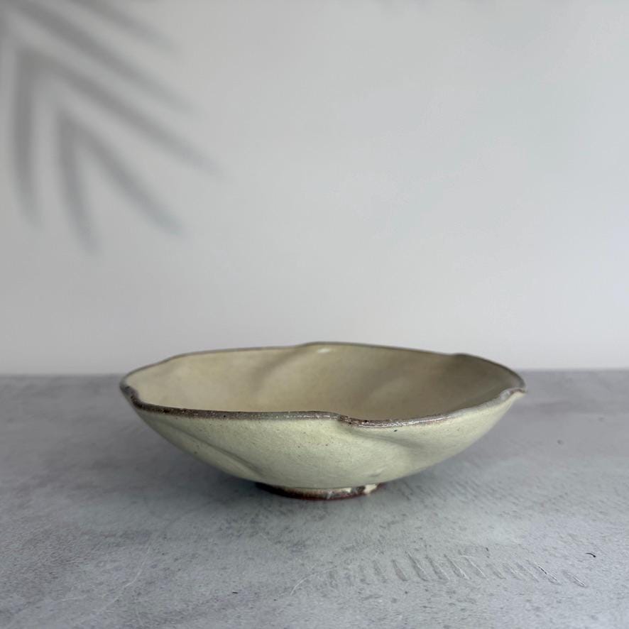 Handmade Shigaraki Flower Ash Glazed Bowl  Authentic Japanese Pottery