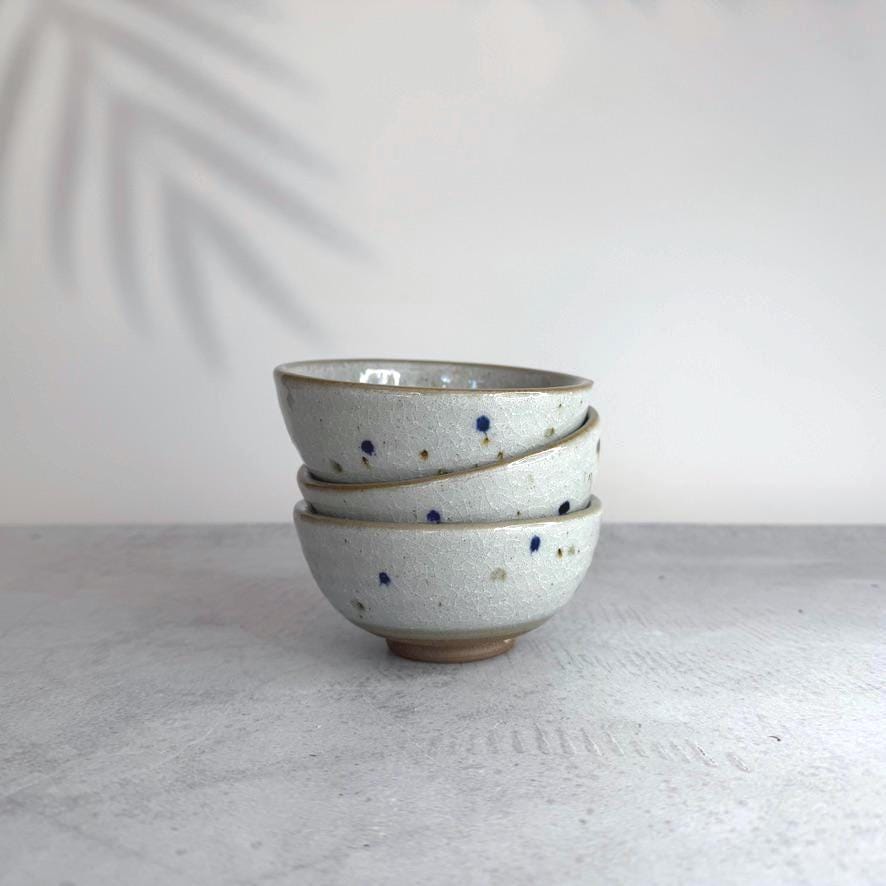 Japanese Minoyaki Ceramic Bowl  I Made In Japan