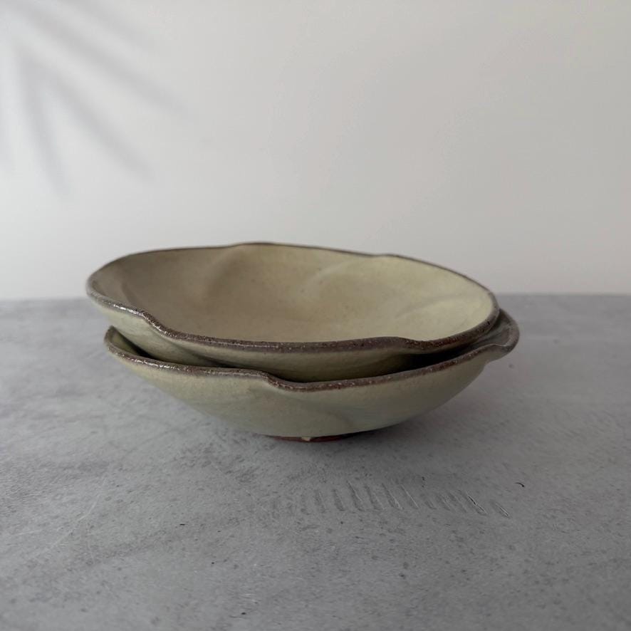 Handmade Shigaraki Flower Ash Glazed Bowl  Authentic Japanese Pottery